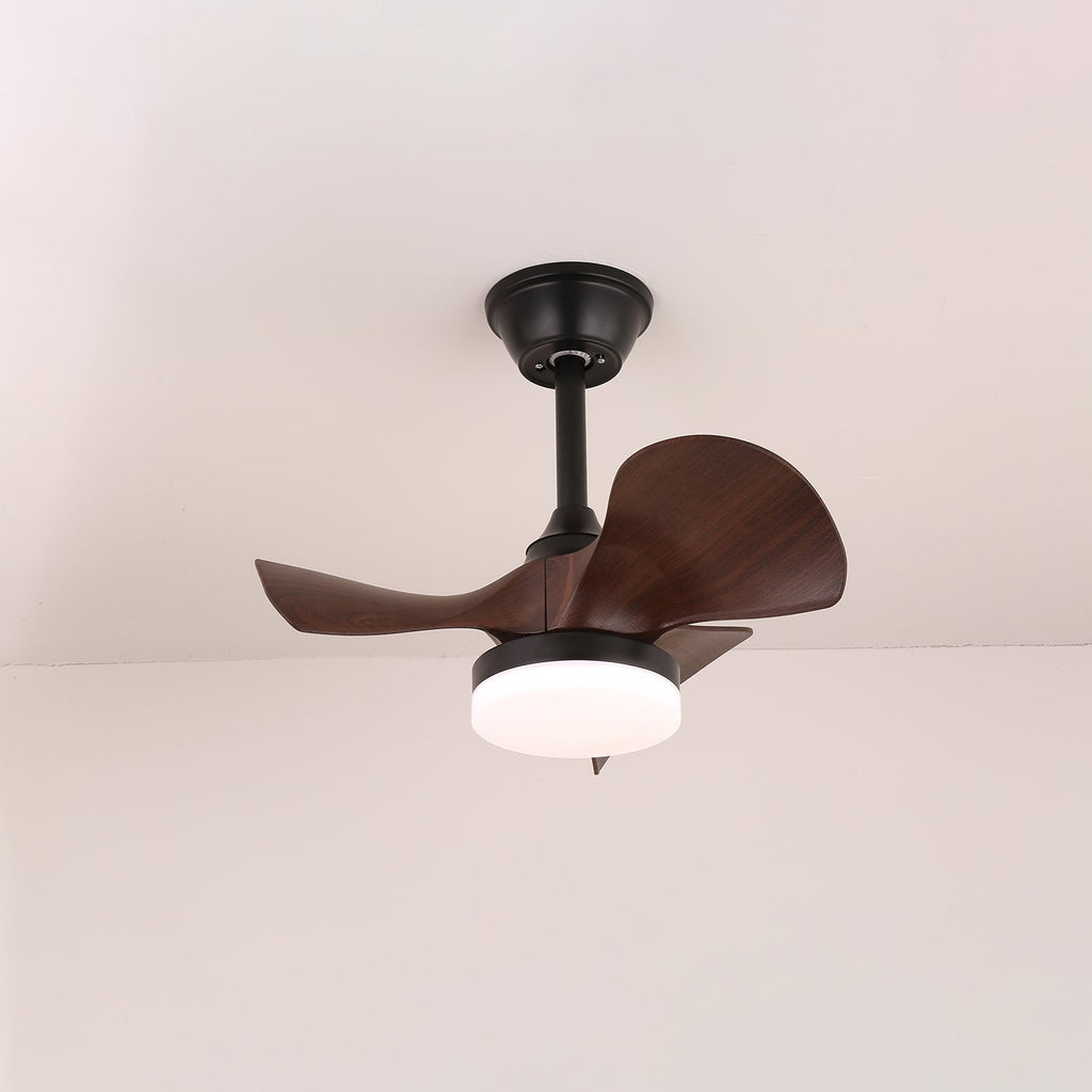 harper-ceiling-fan-light-anzaz--4