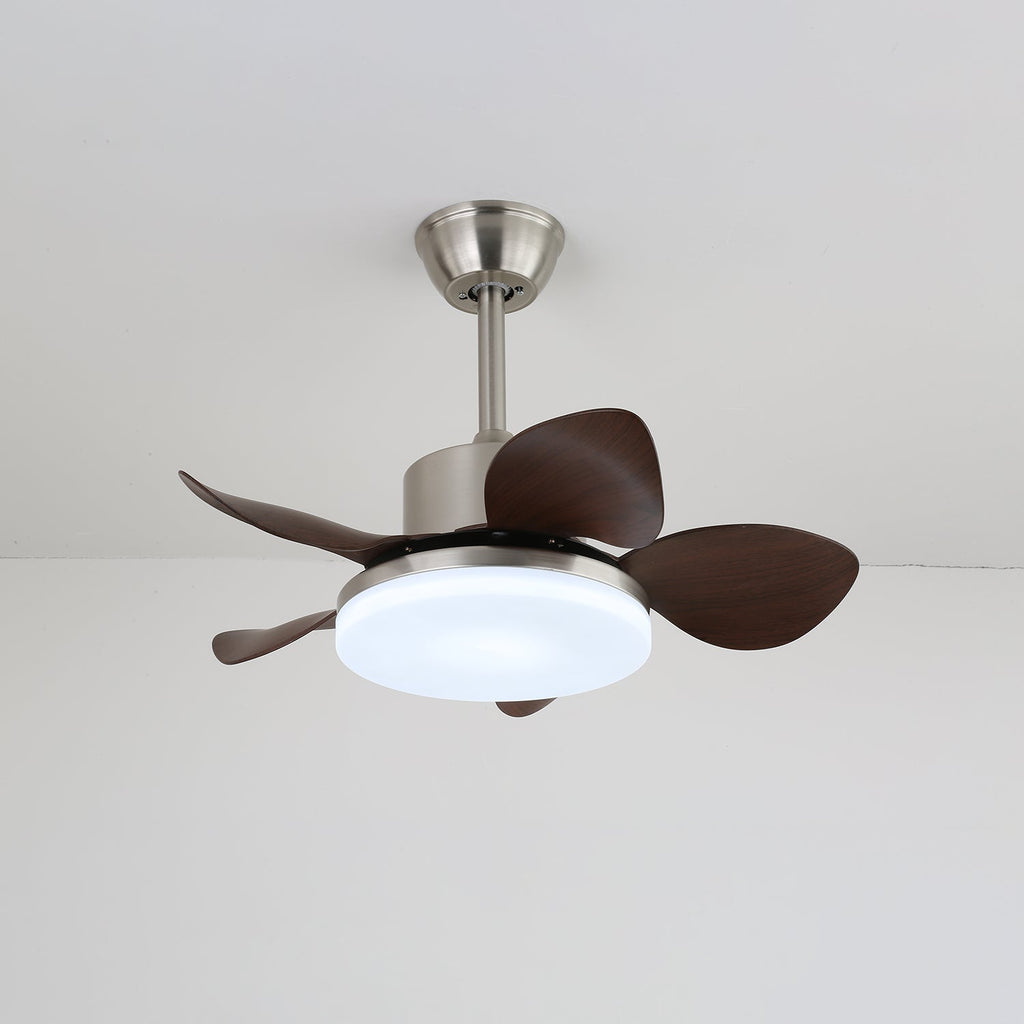 hazel-ceiling-fan-light-anzaz--4