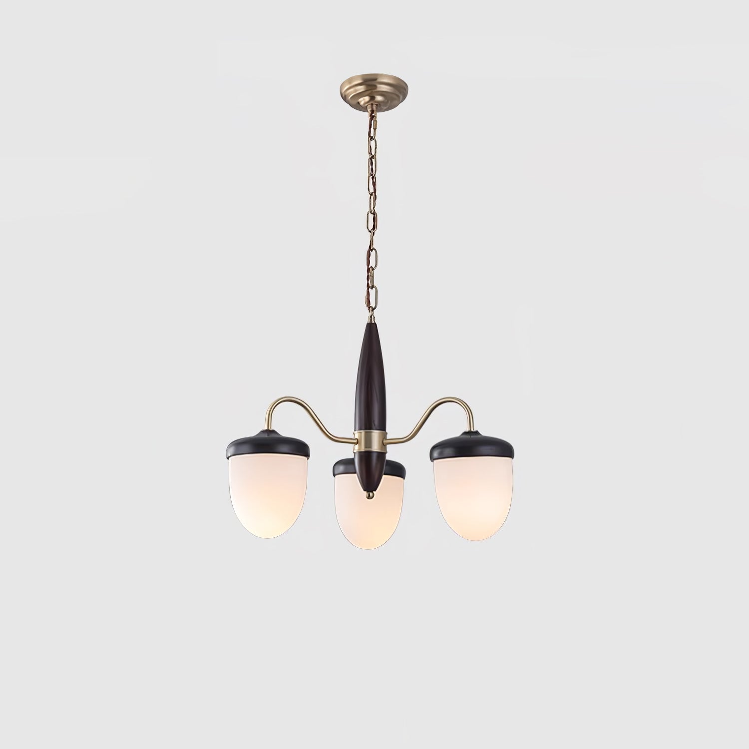 hazelnut-branch-chandelier-anzaz--23