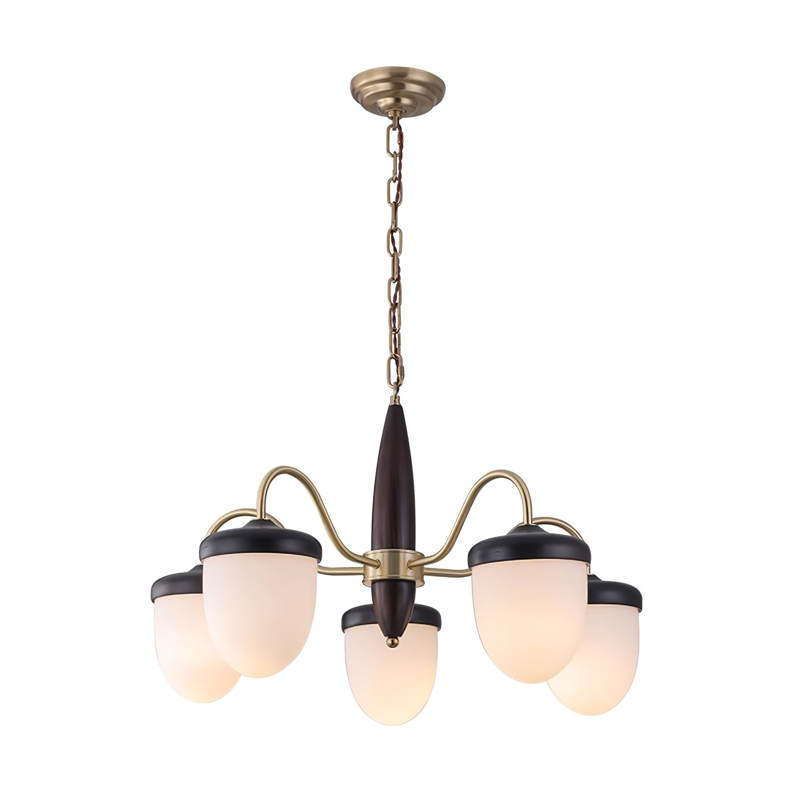 hazelnut-branch-chandelier-anzaz--14