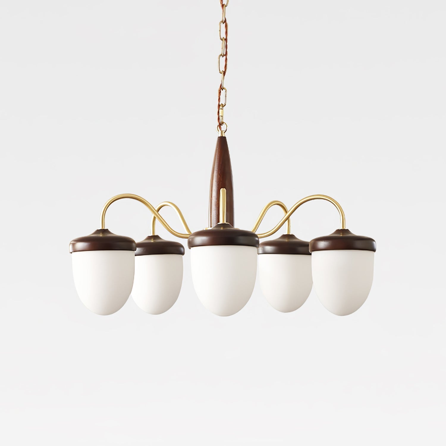 hazelnut-branch-chandelier-anzaz--15