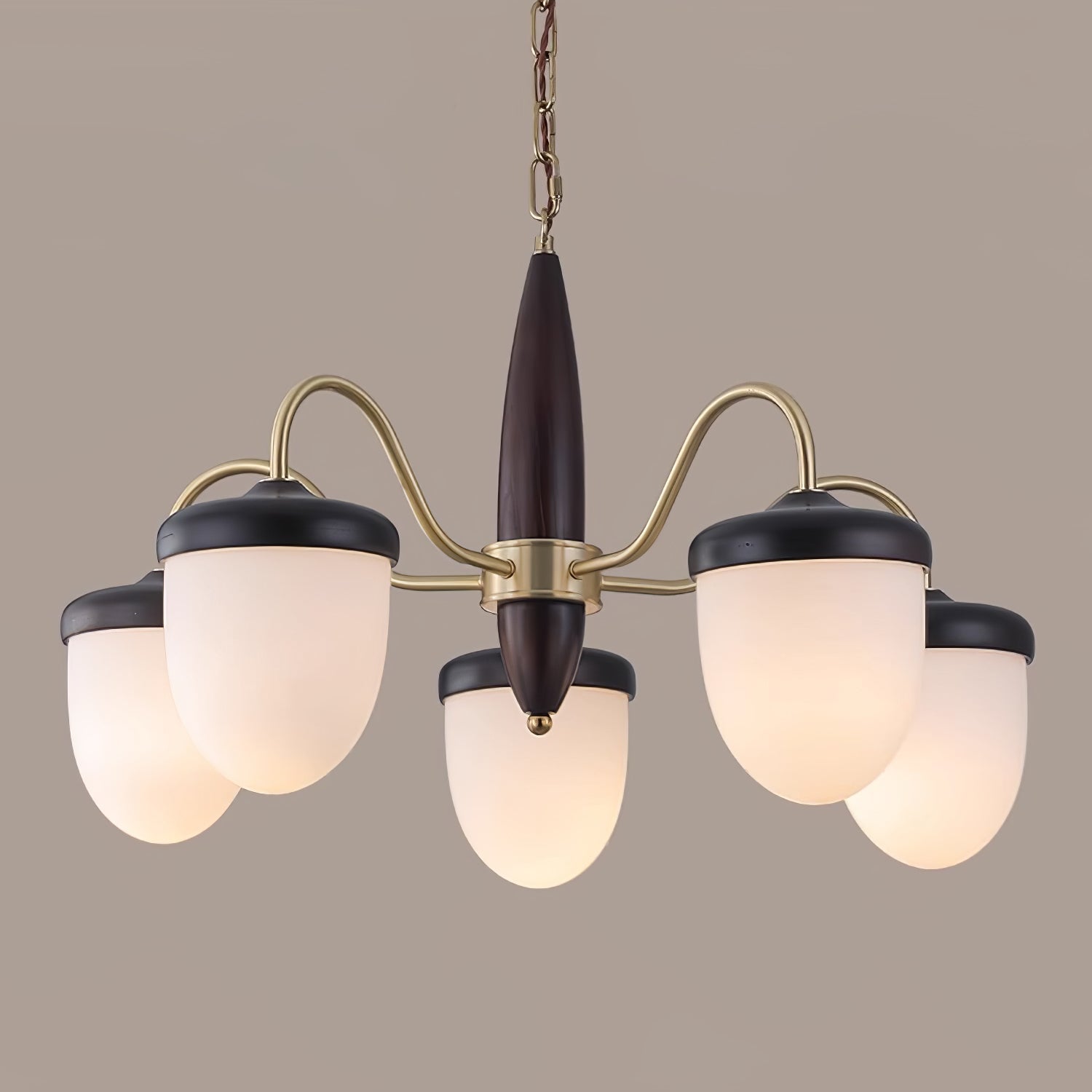 hazelnut-branch-chandelier-anzaz--17