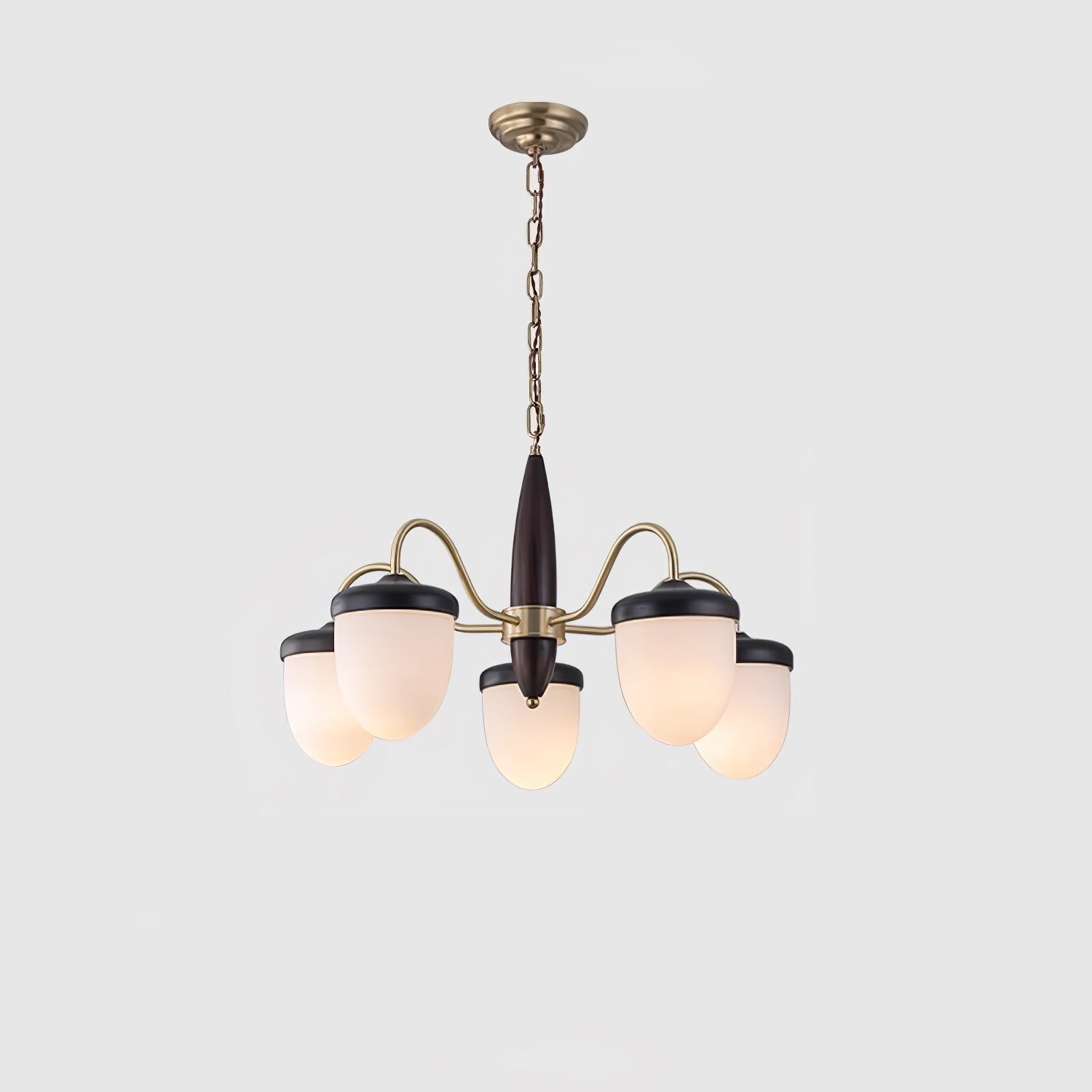 hazelnut-branch-chandelier-anzaz--22