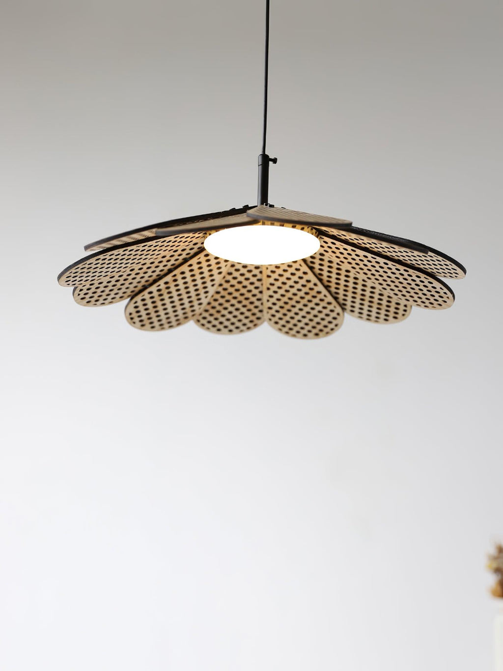 hollyhock-pendant-light-anzaz--27