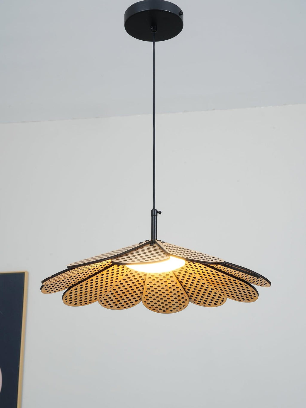 hollyhock-pendant-light-anzaz--11