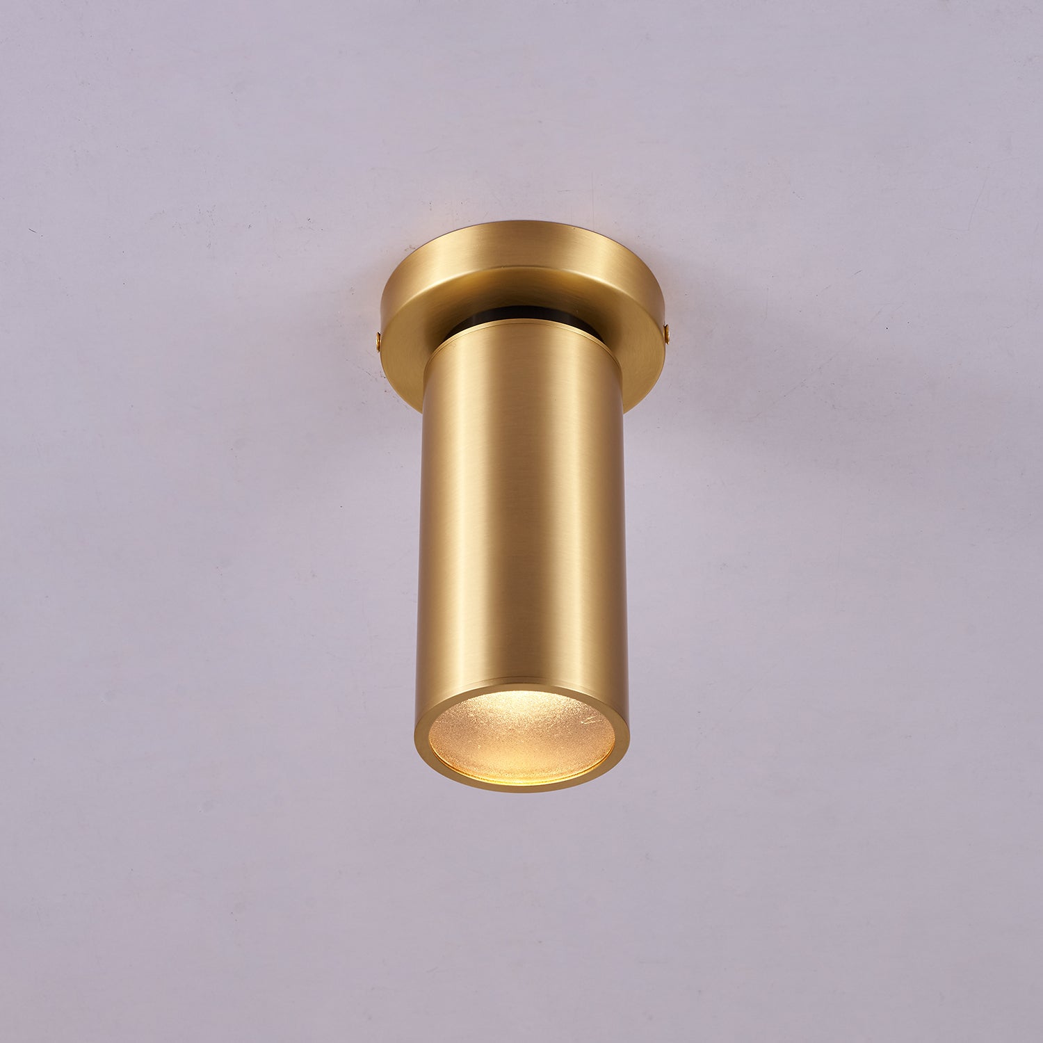 horizon-brass-spot-light-anzaz--19