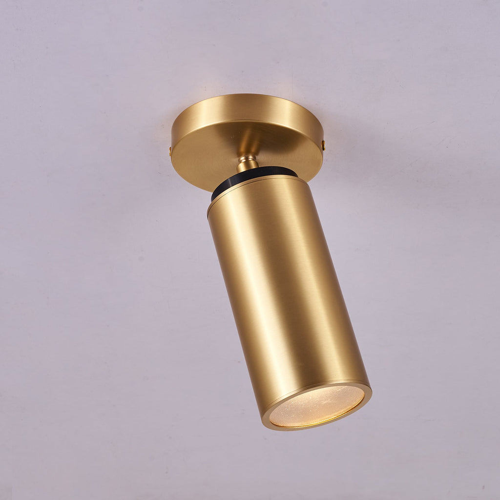horizon-brass-spot-light-anzaz--28