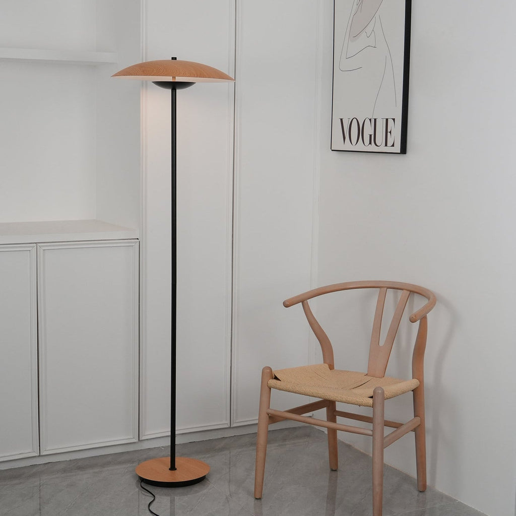 innovative-directional-floor-lamp-anzaz--54