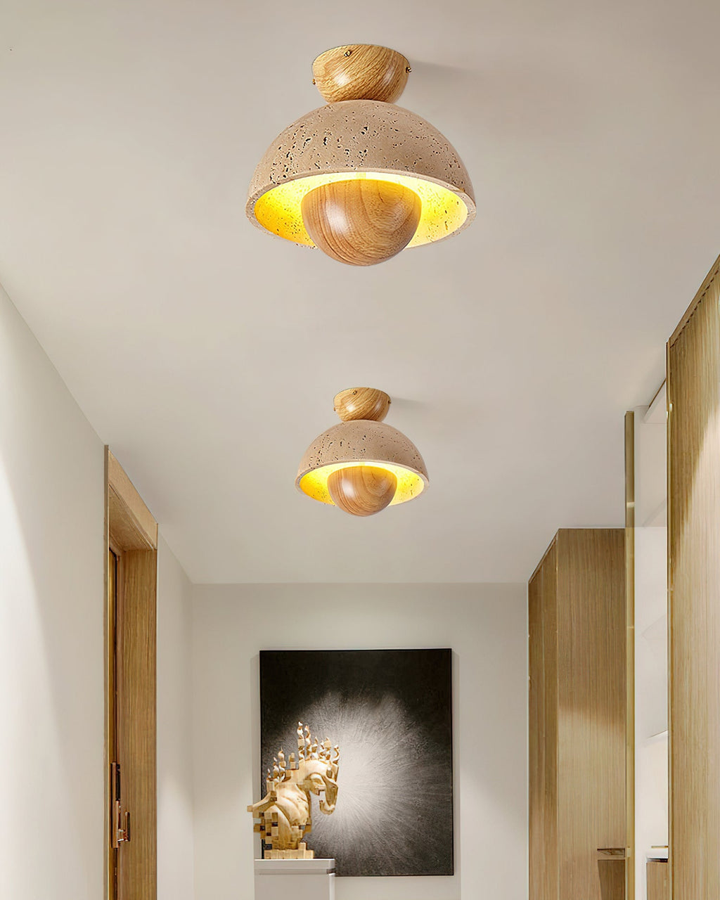 inverted-ceiling-lamp-anzaz--10