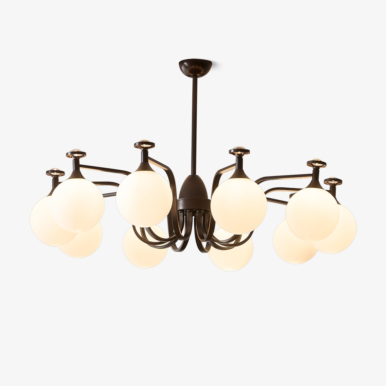 isolde-chandelier-anzaz-Dark brown & White-1