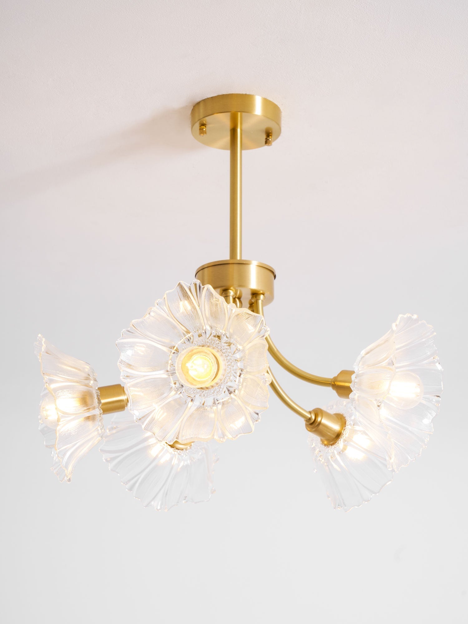 kalin-flower-glass-chandelier-anzaz--40