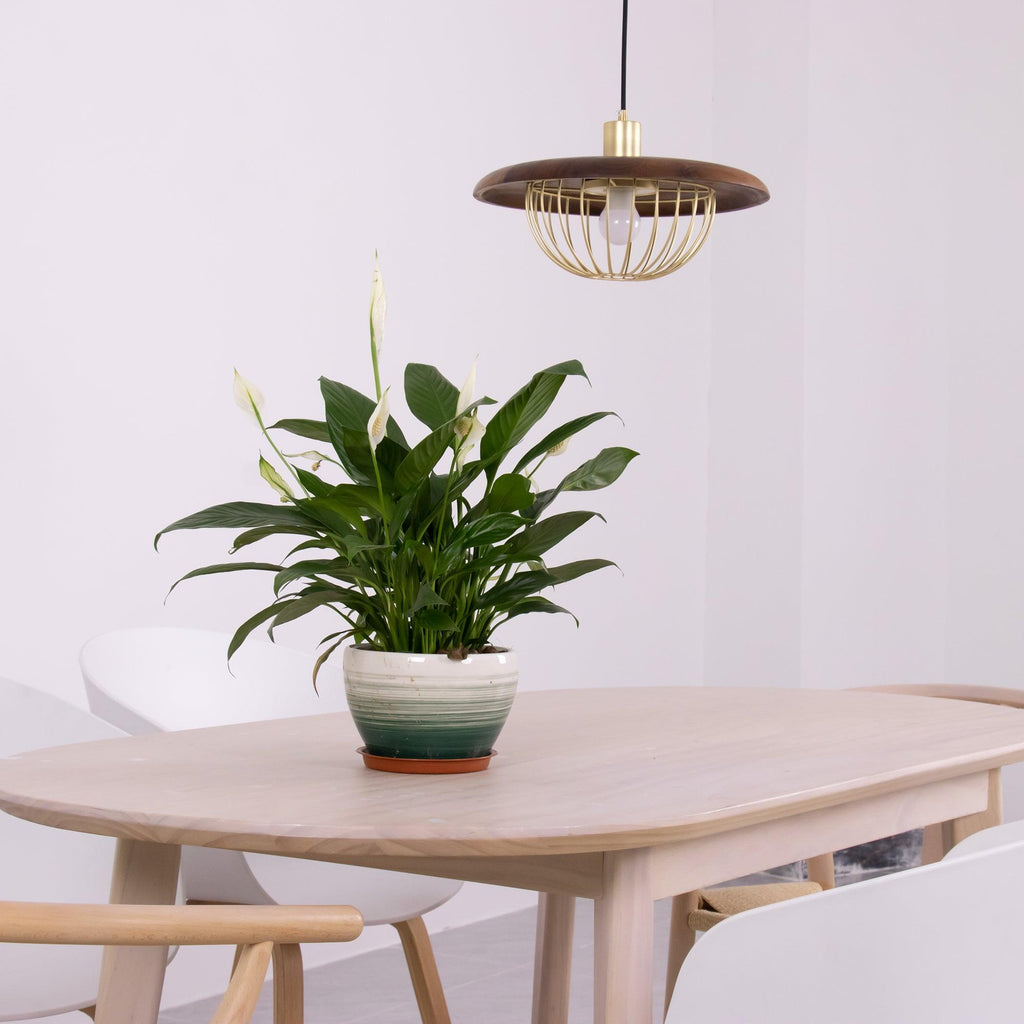 wooden-lamp-pendant-light-anzaz--38