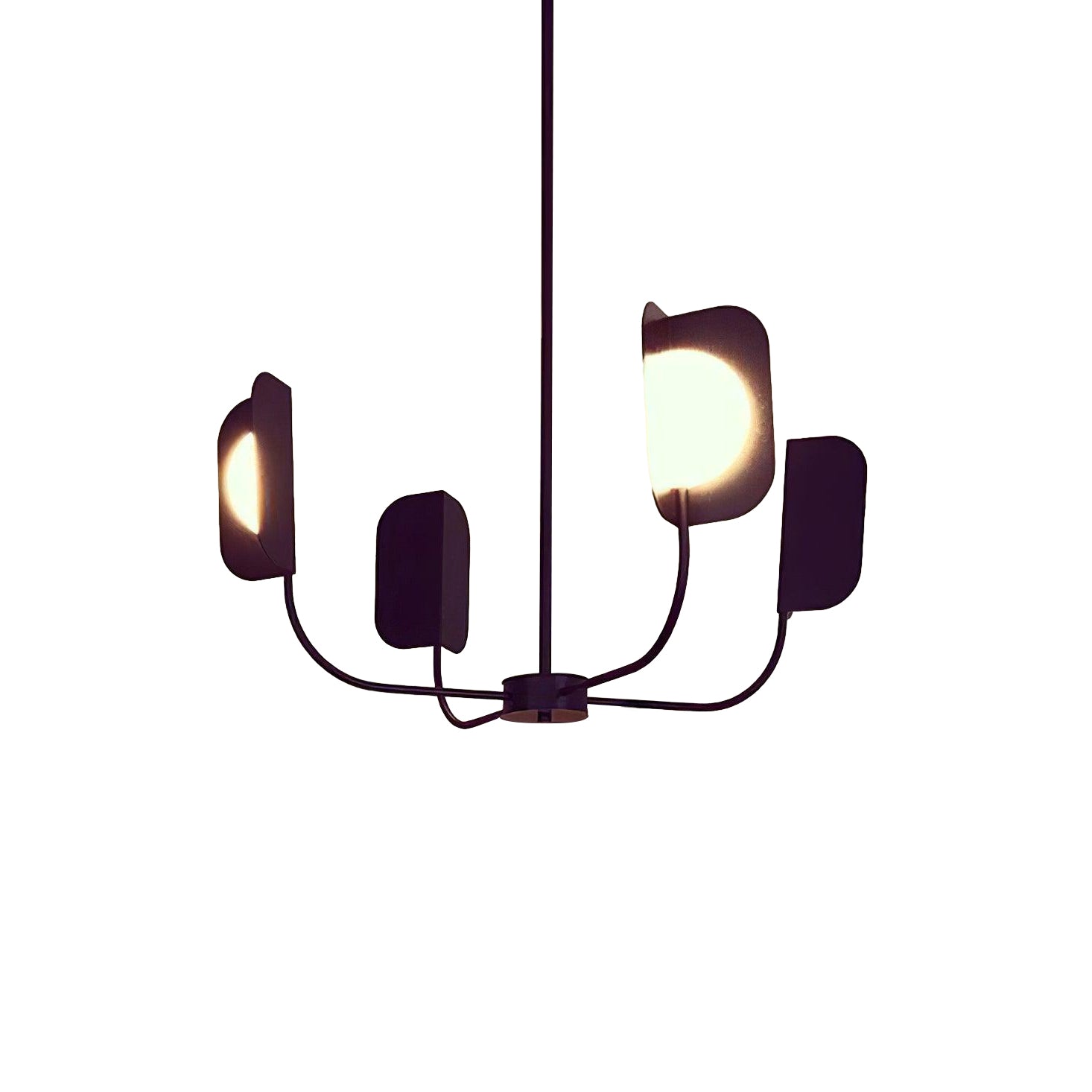 leaf-chandelier-anzaz--78