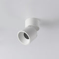 lara2-spotlights-anzaz-White+Black-23