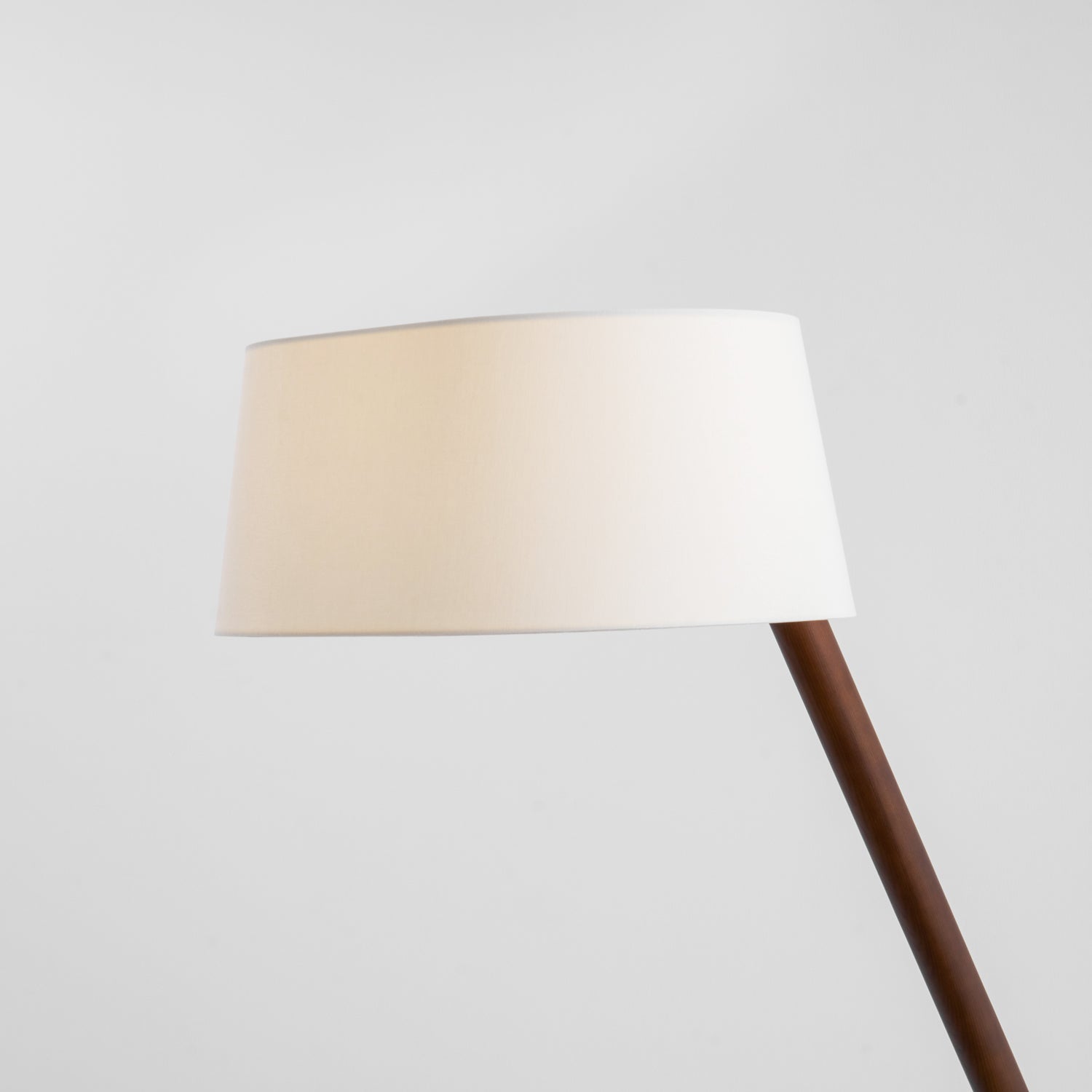 lean-pivot-floor-lamp-anzaz--48