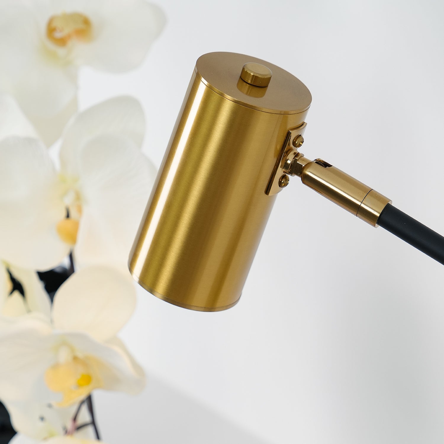lektor-table-lamp-anzaz--52