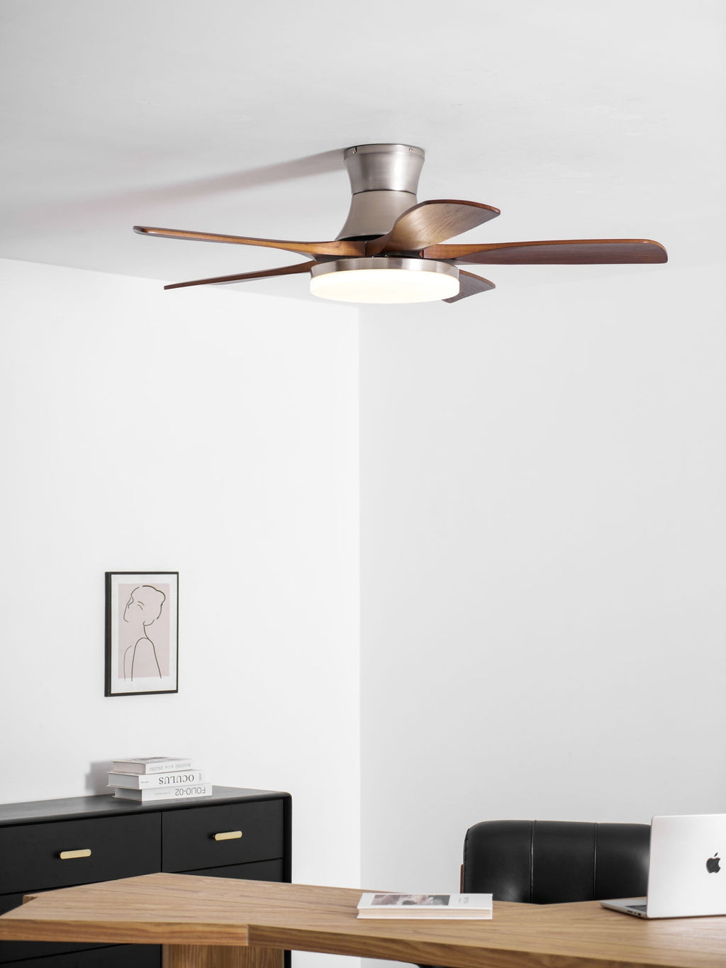 liam-ceiling-fan-light-anzaz--10