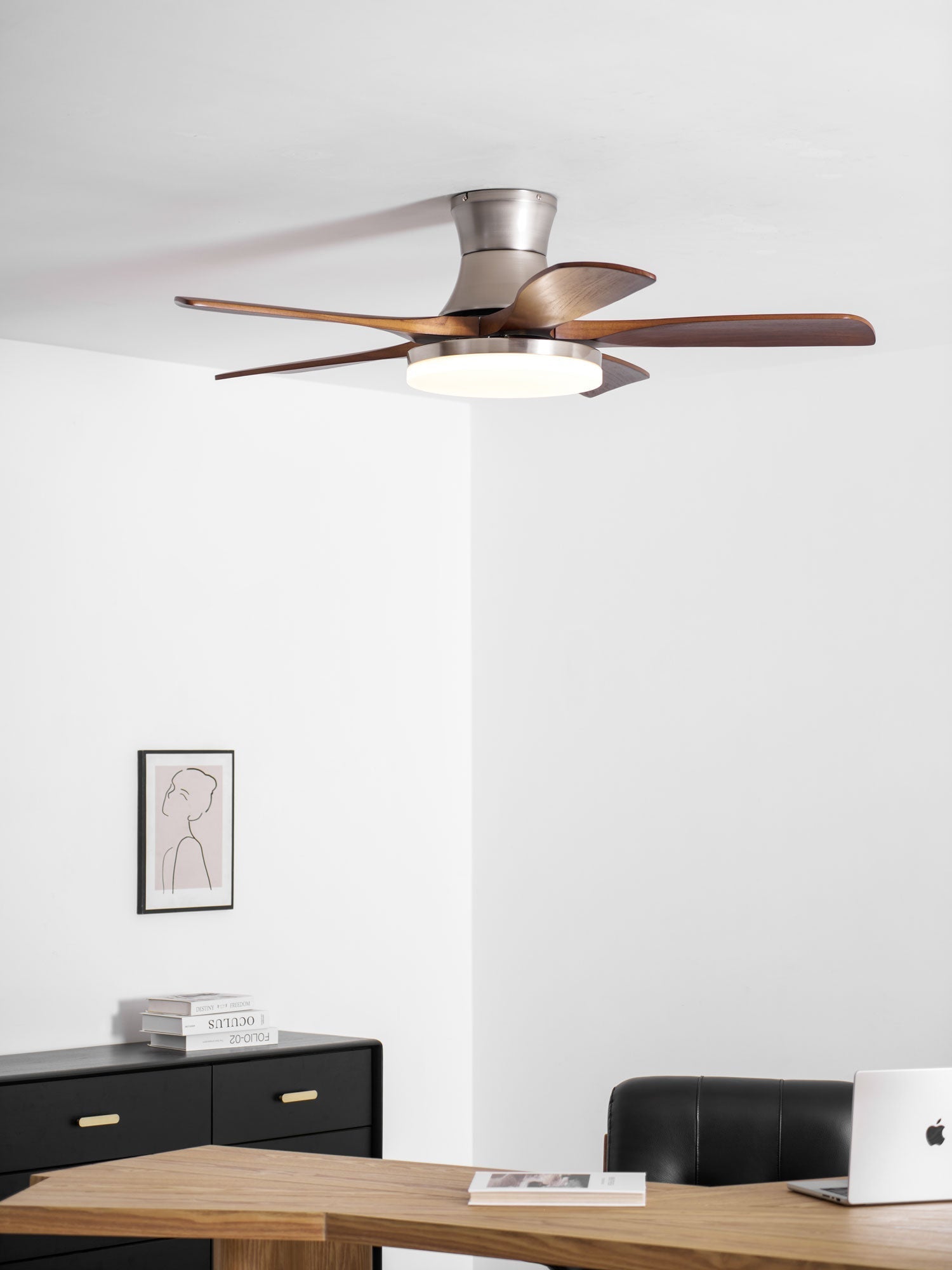 liam-ceiling-fan-light-anzaz--10