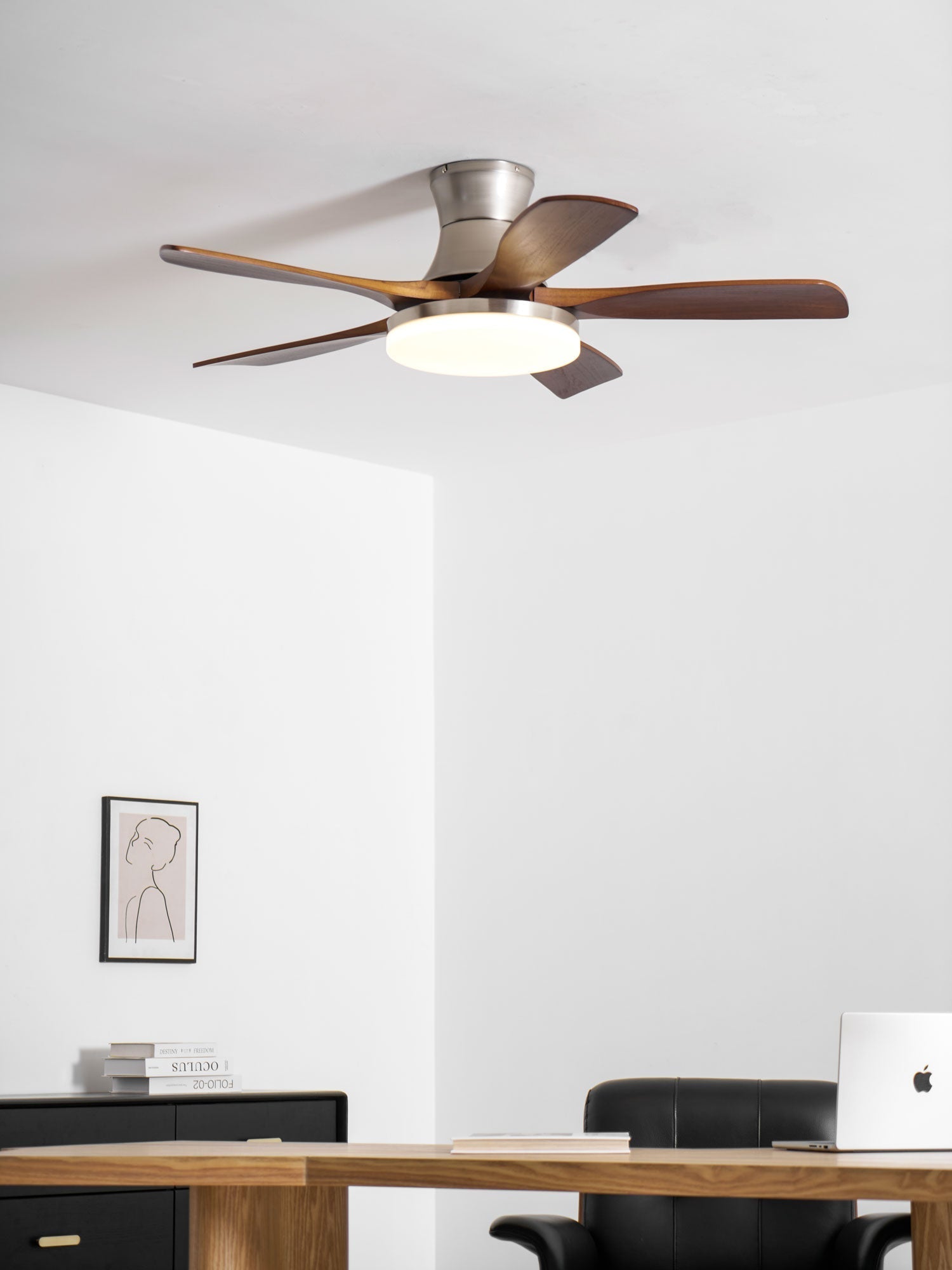 liam-ceiling-fan-light-anzaz--11