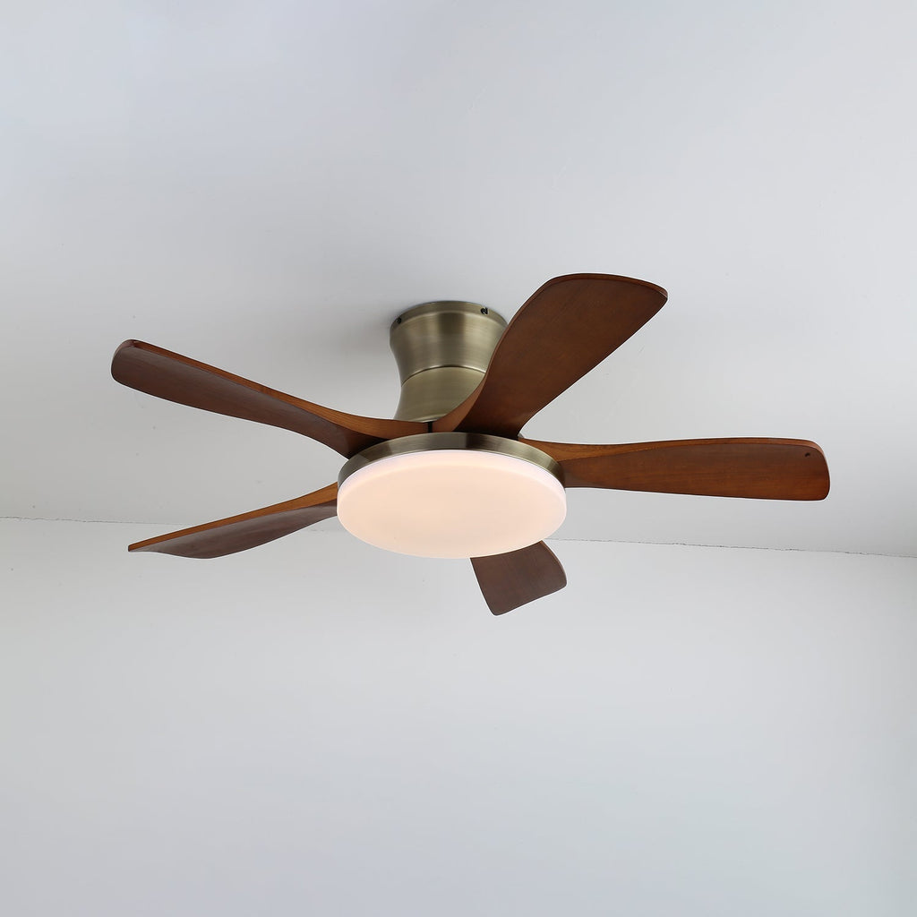 liam-ceiling-fan-light-anzaz--7