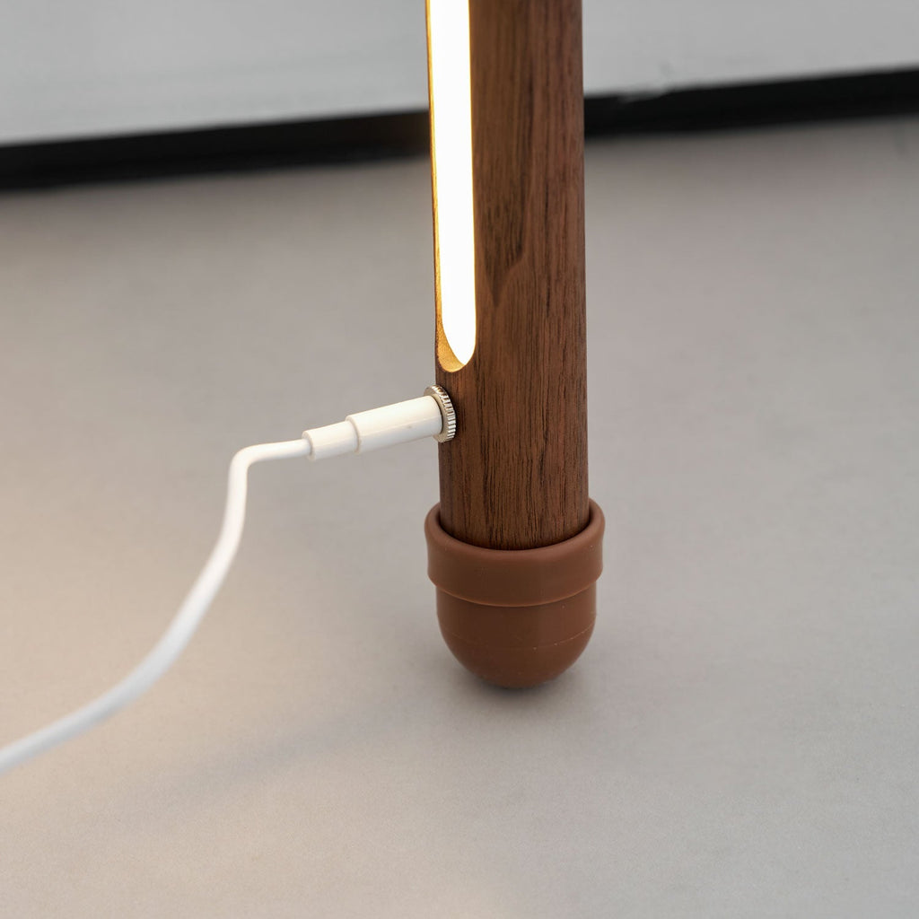 line-assist-ambience-floor-lamp-anzaz--34