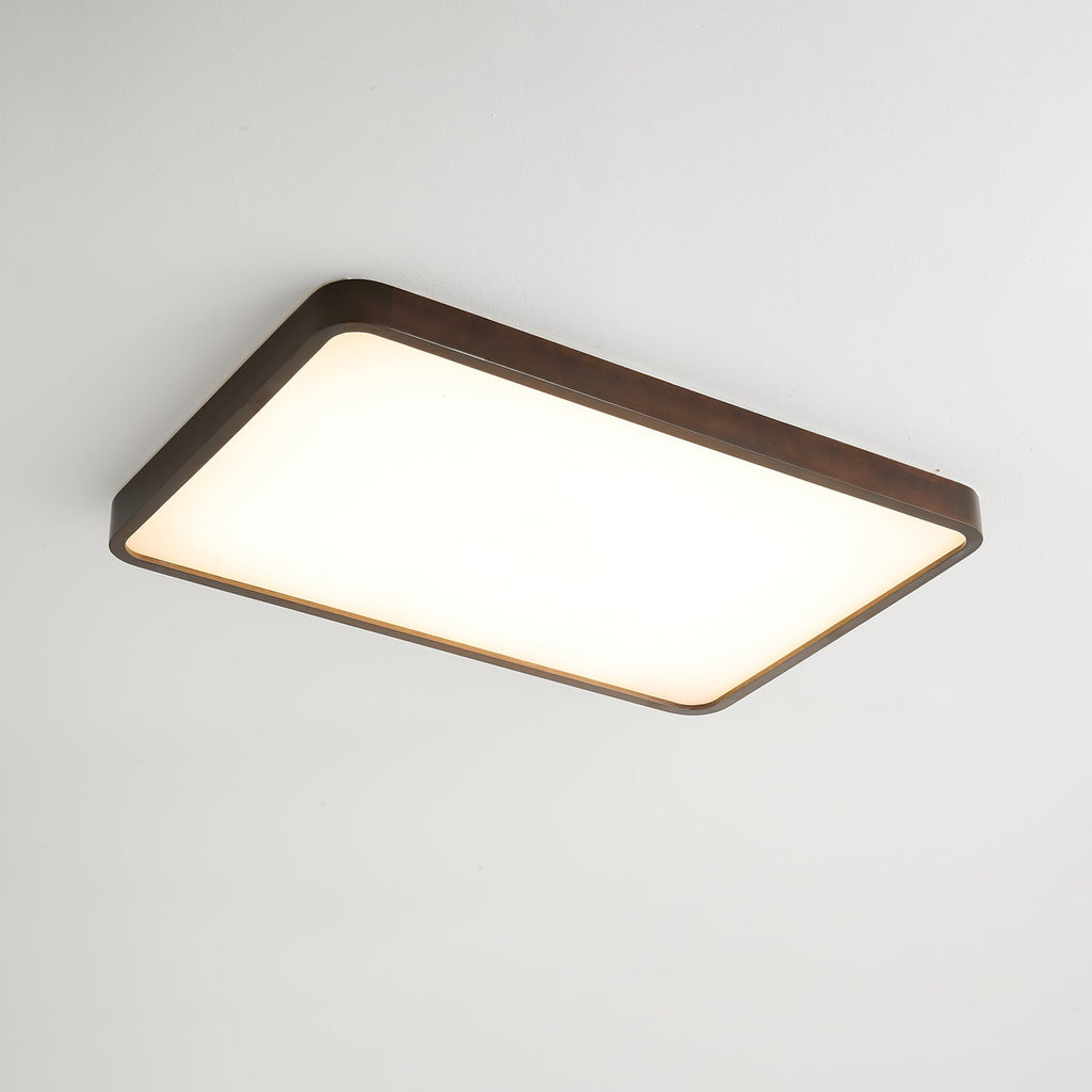 lira-rectangular-ceiling-light-anzaz--5