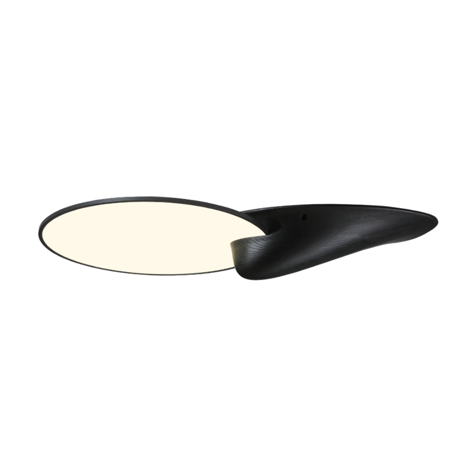 lone-peak-ceiling-lamp-anzaz-Black-3