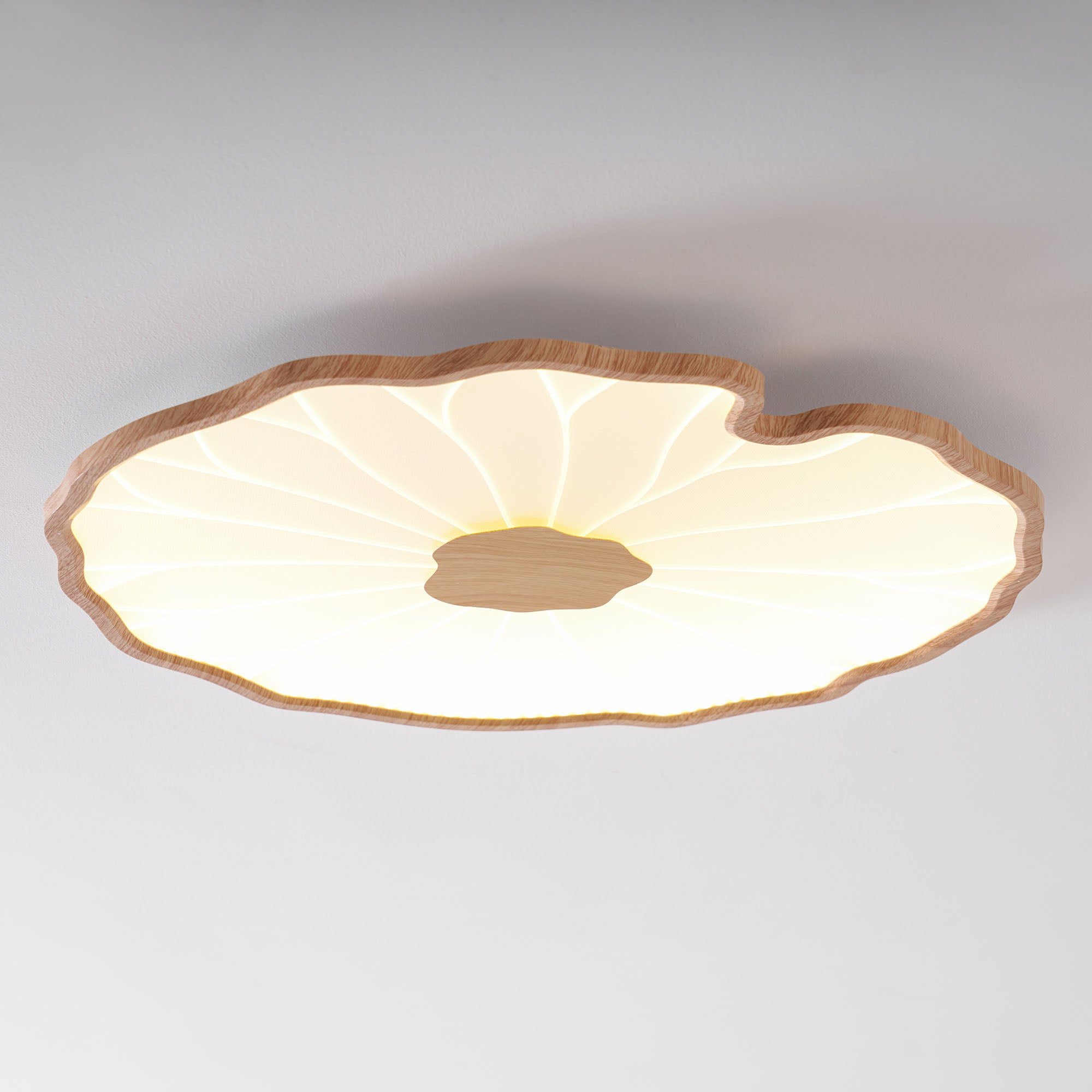 lotus-leaf-acrylic-ceiling-lamp-anzaz--39