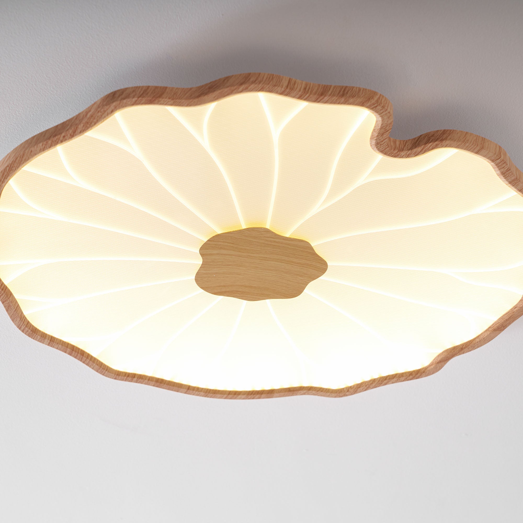 lotus-leaf-acrylic-ceiling-lamp-anzaz--40