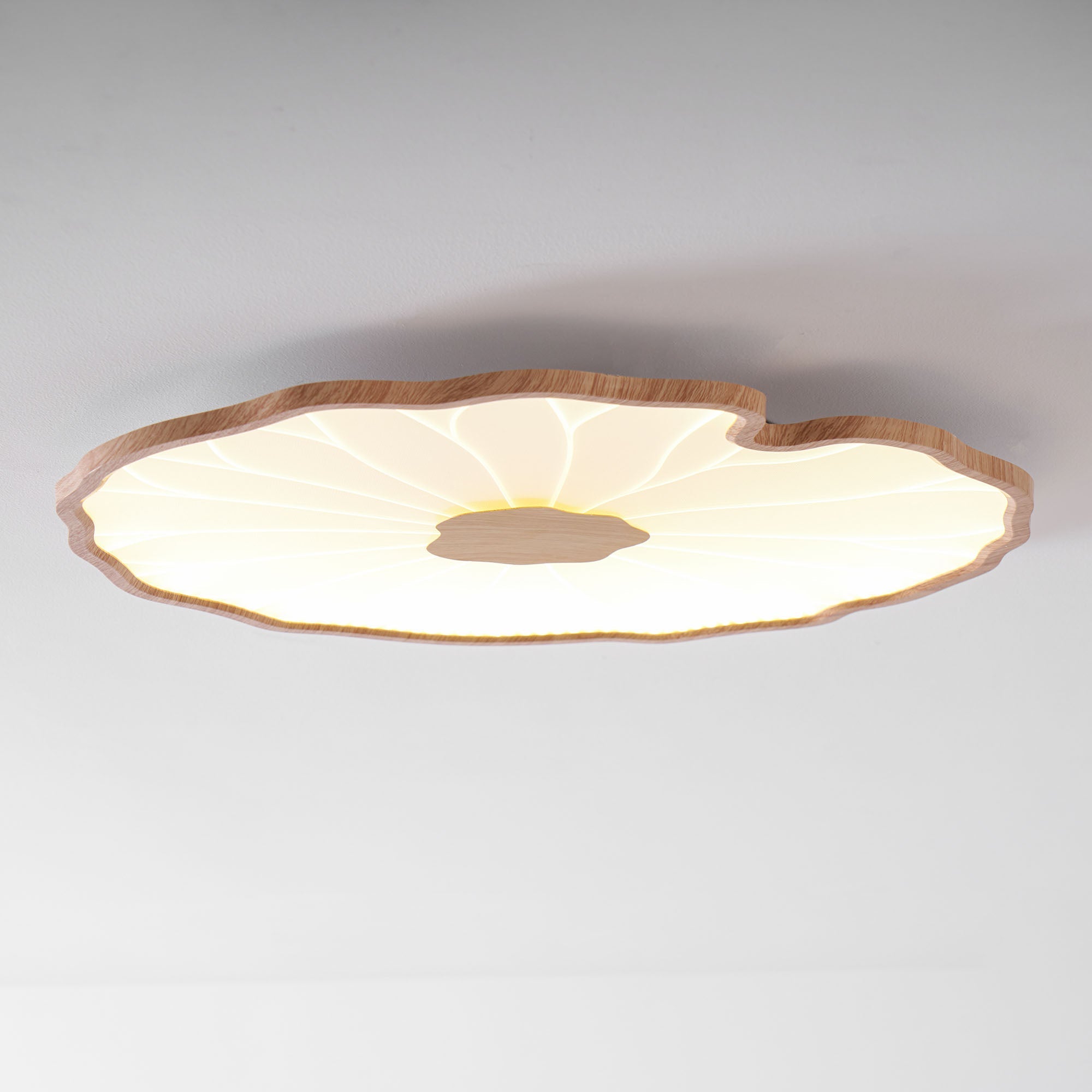 lotus-leaf-acrylic-ceiling-lamp-anzaz--42