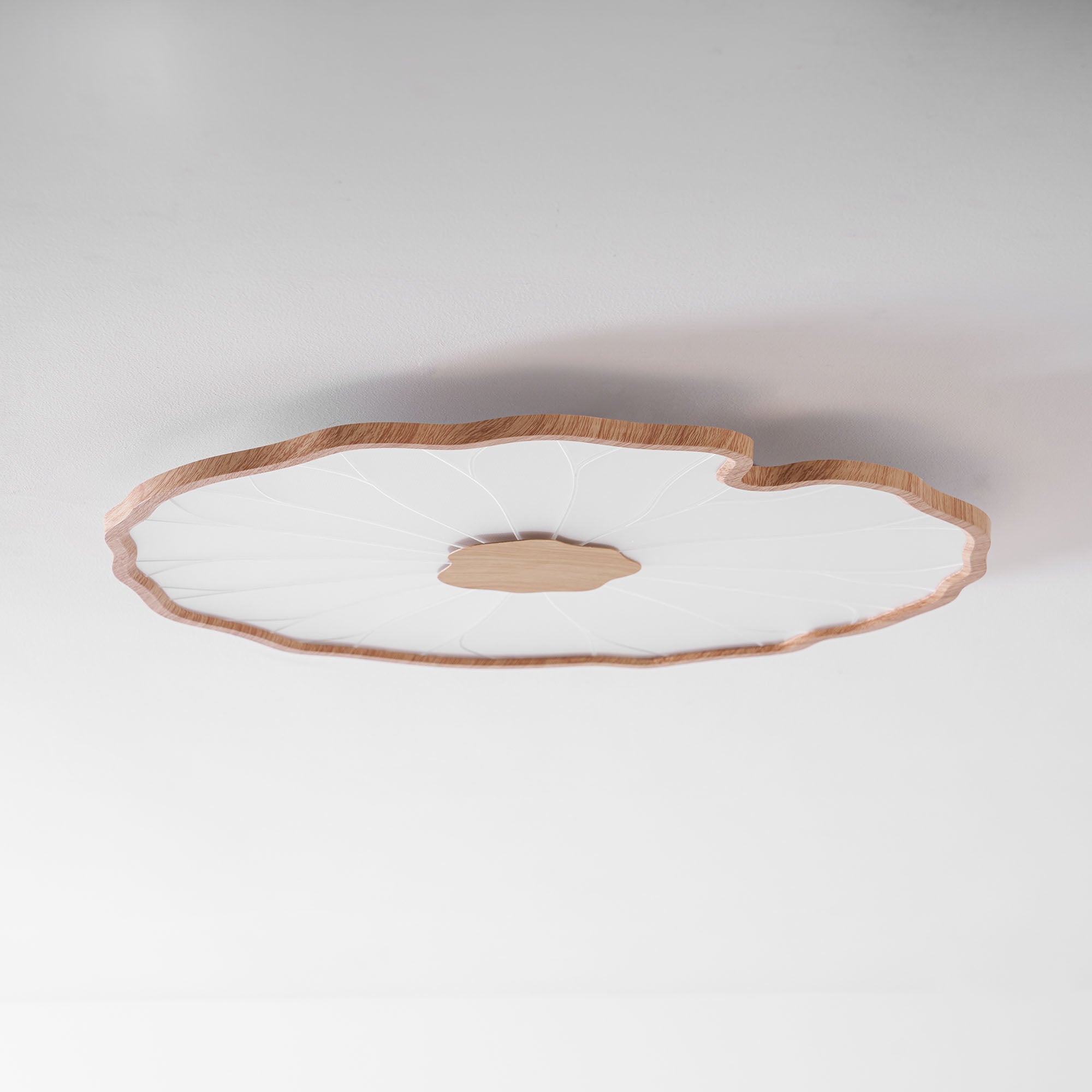 lotus-leaf-acrylic-ceiling-lamp-anzaz--43