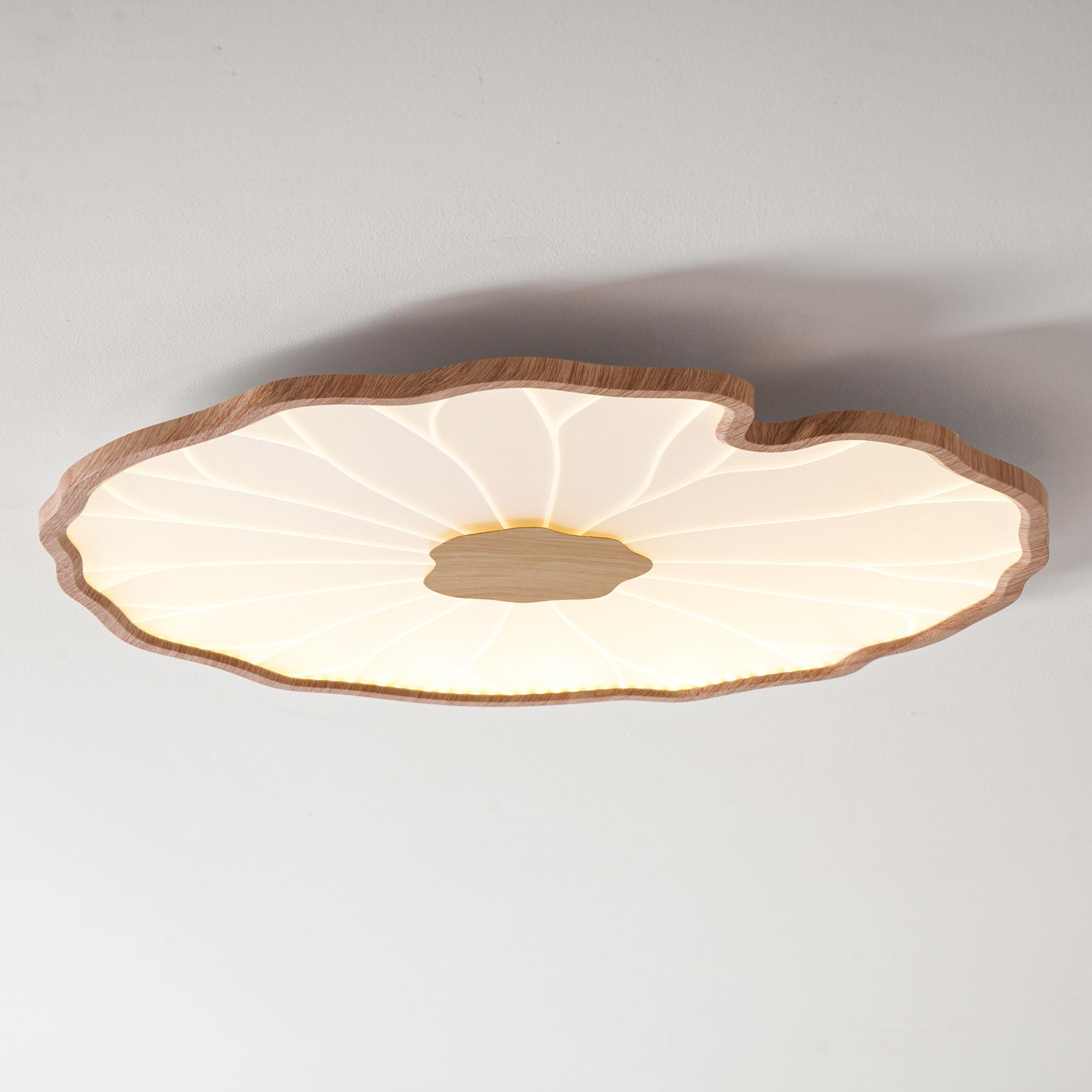 lotus-leaf-acrylic-ceiling-lamp-anzaz--47