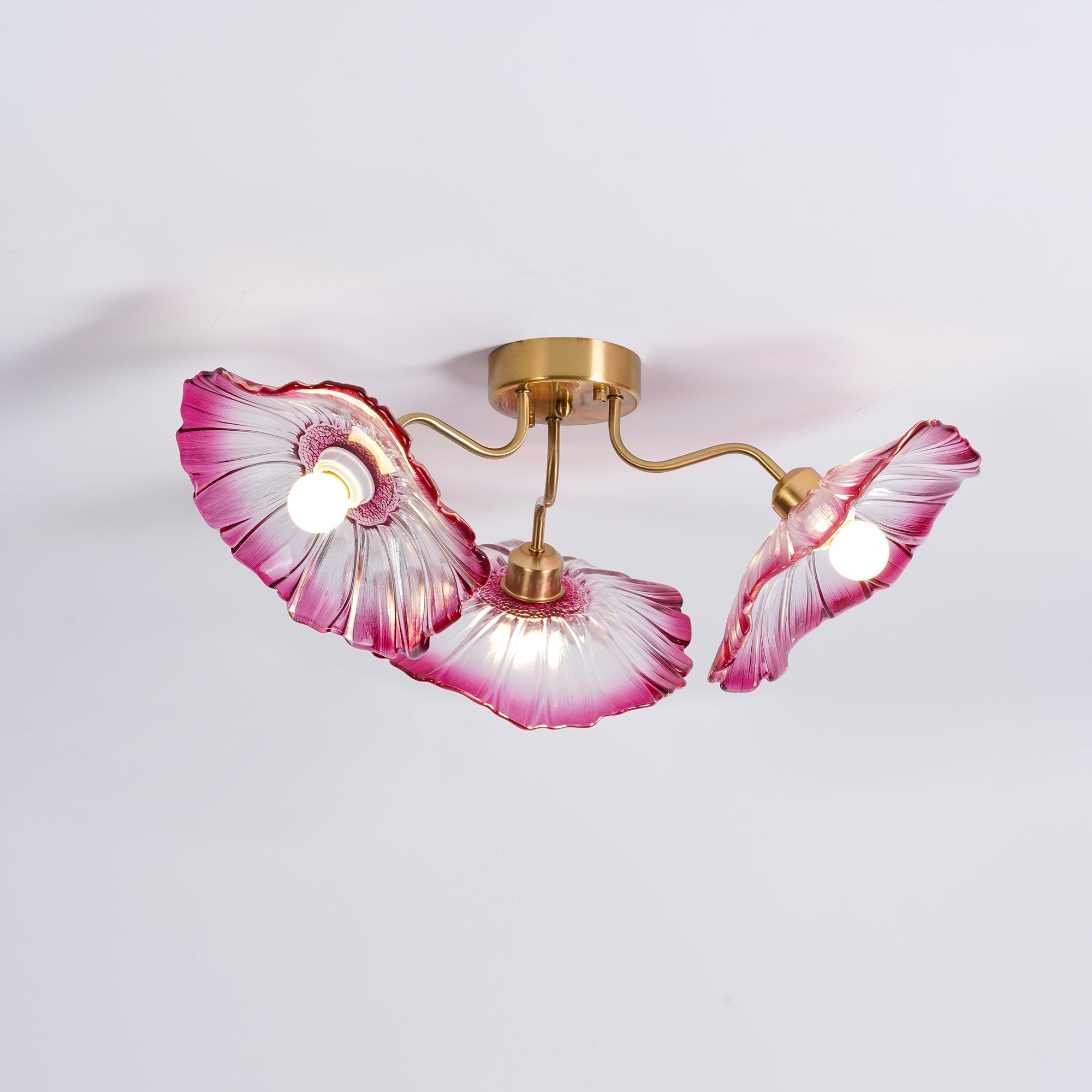 lotus-leaf-glass-ceiling-lamp-anzaz--29