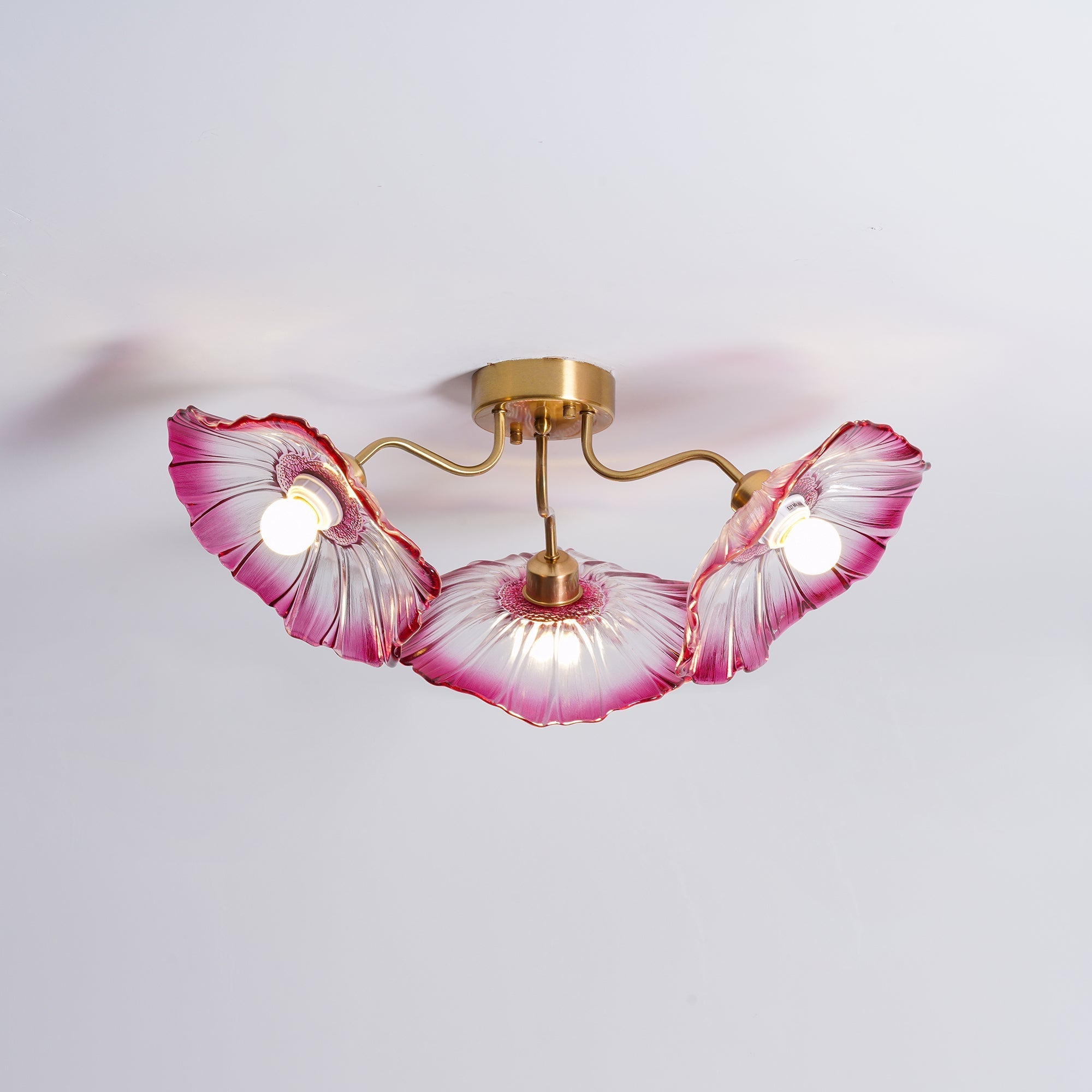 lotus-leaf-glass-ceiling-lamp-anzaz--25