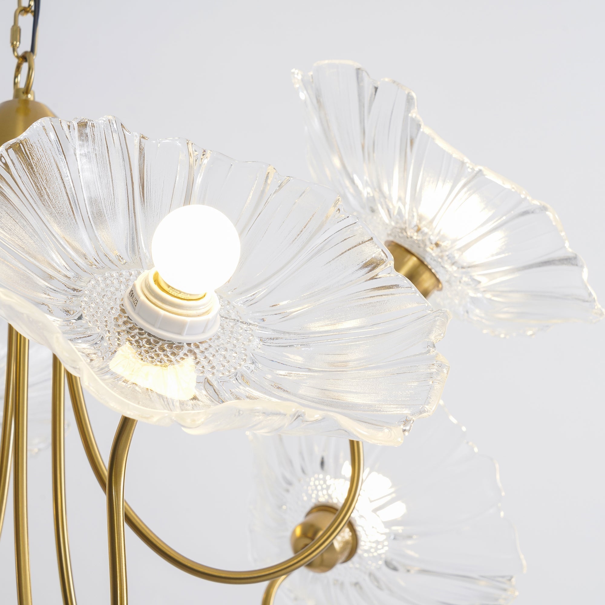 lotus-leaf-glass-chandelier-anzaz--30