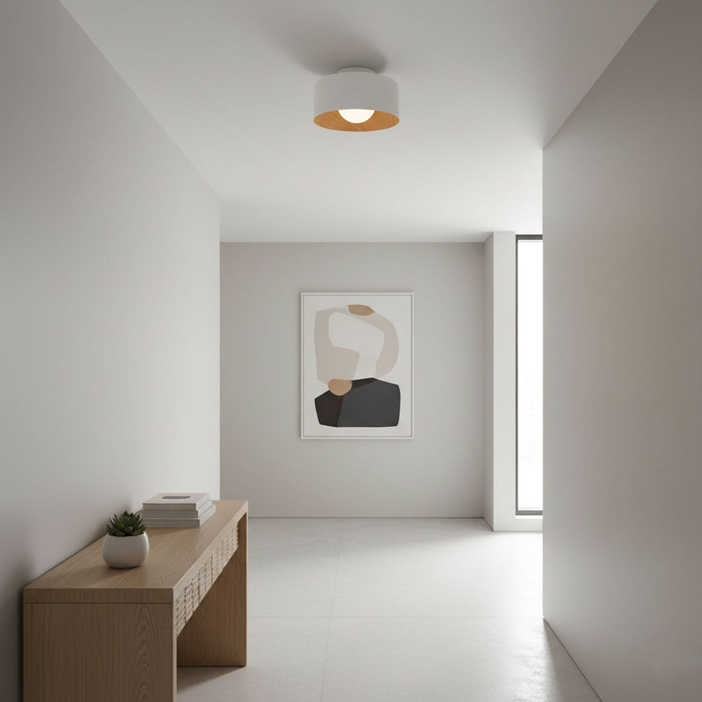 lumosphere-ceiling-light-anzaz--10