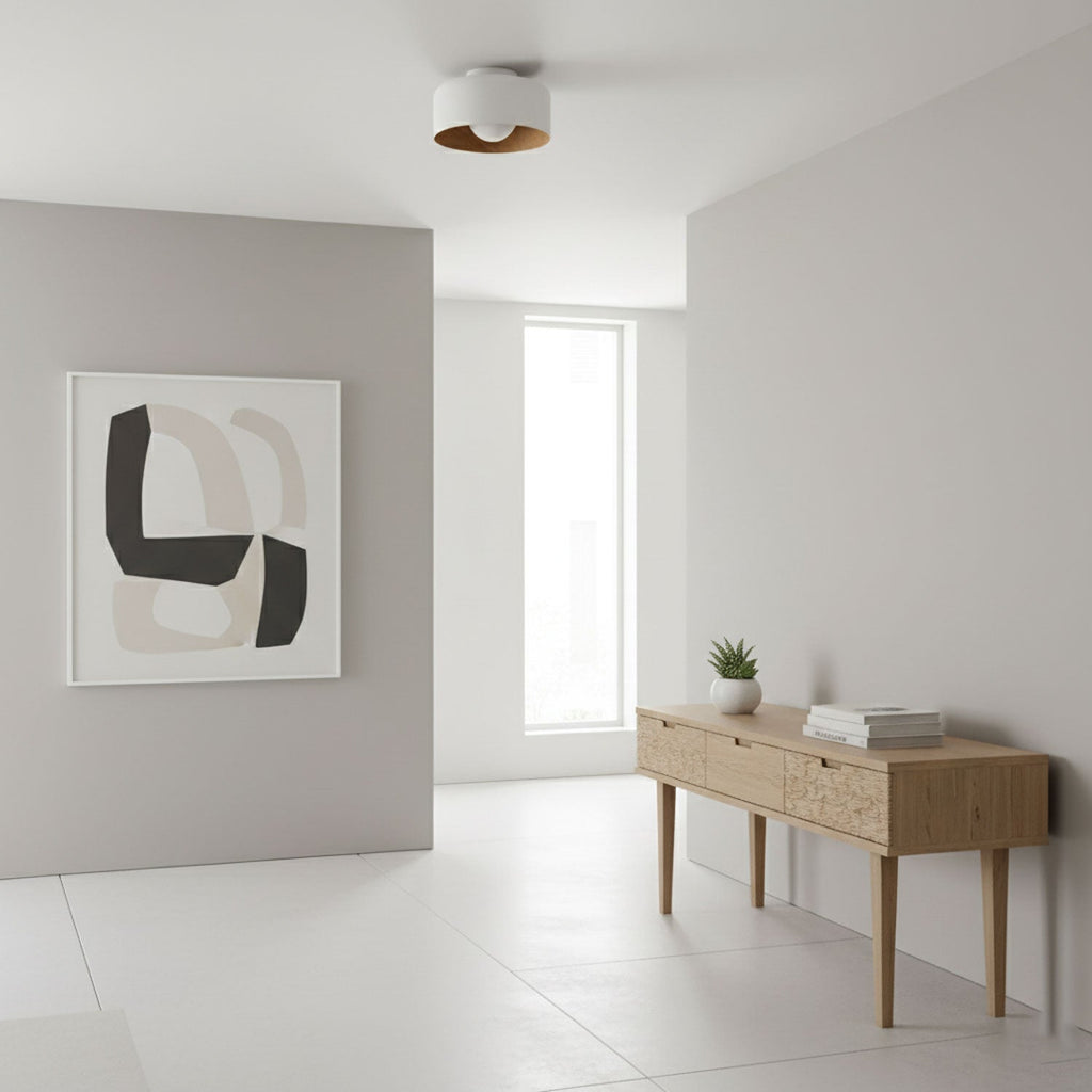 lumosphere-ceiling-light-anzaz--11
