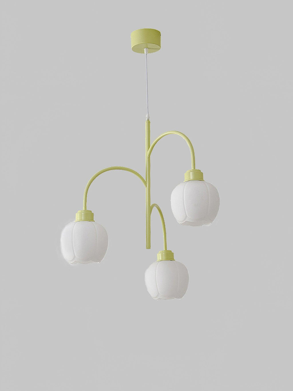 lustra-flower-chandelier-anzaz--8