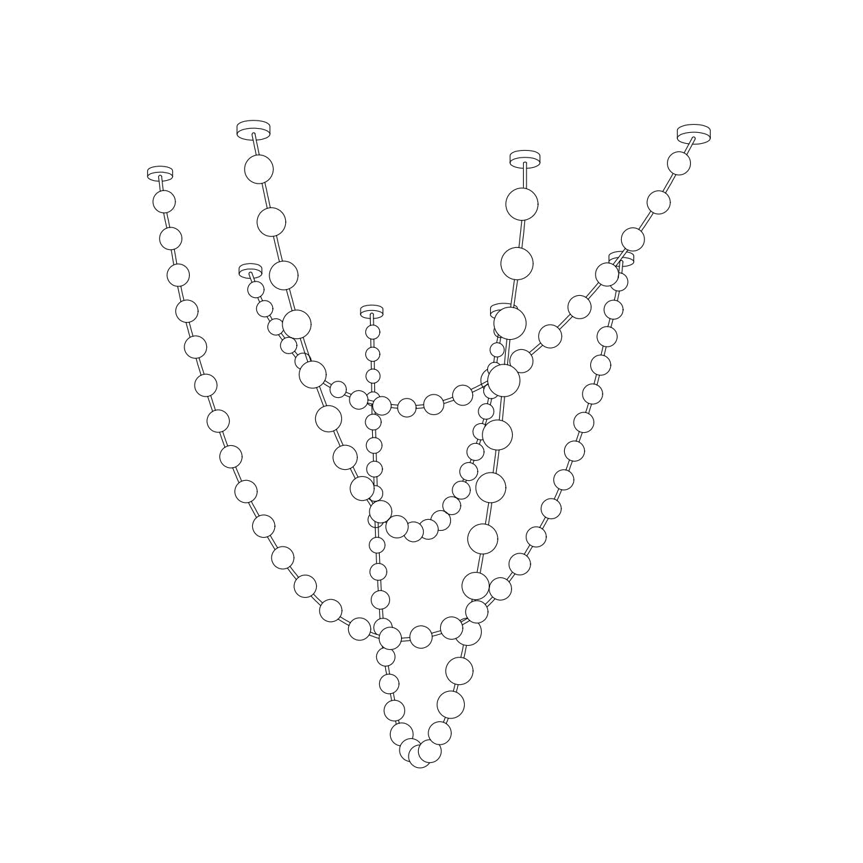 strand-necklace-chandelier-anzaz--33