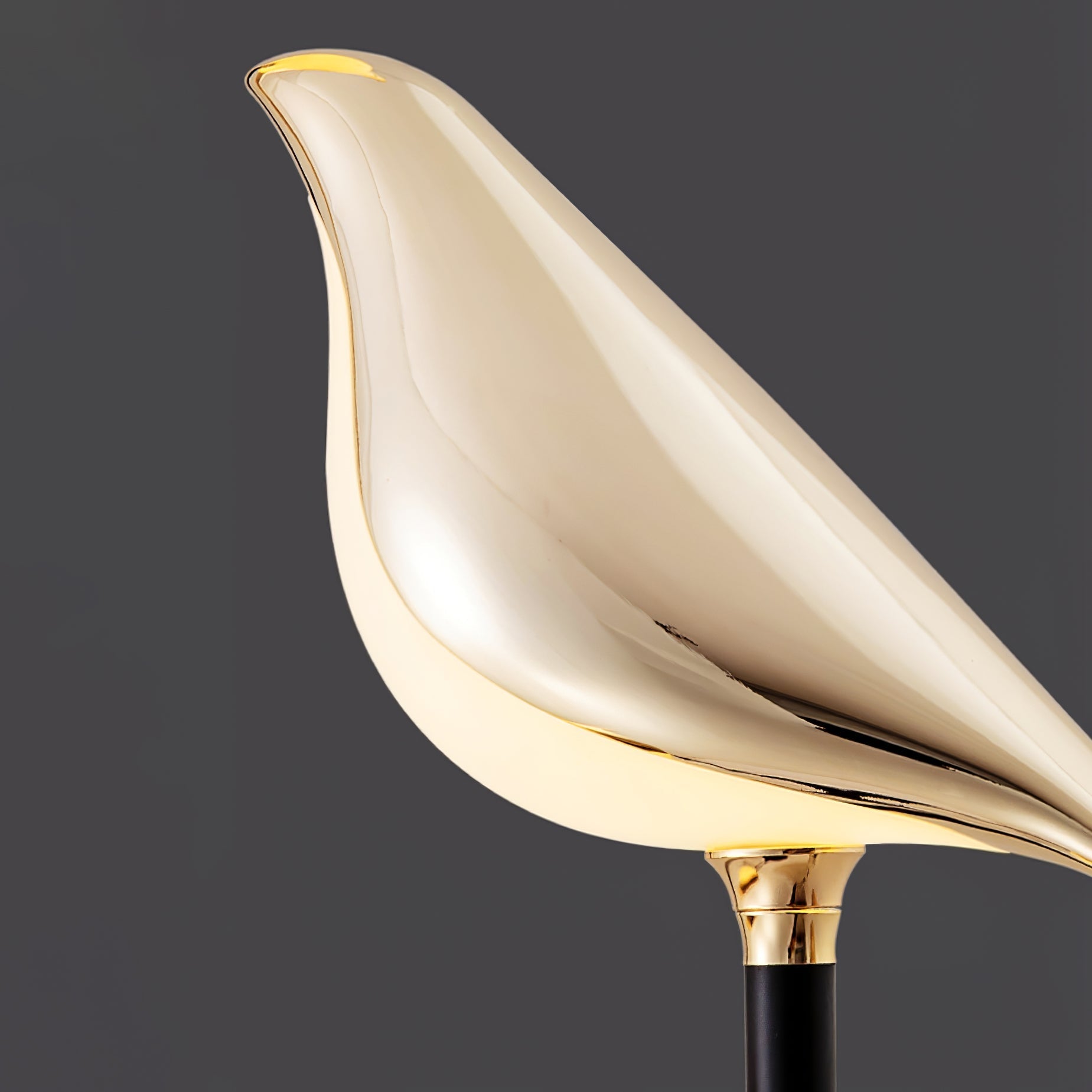 magpie-perch-floor-lamp-anzaz--14
