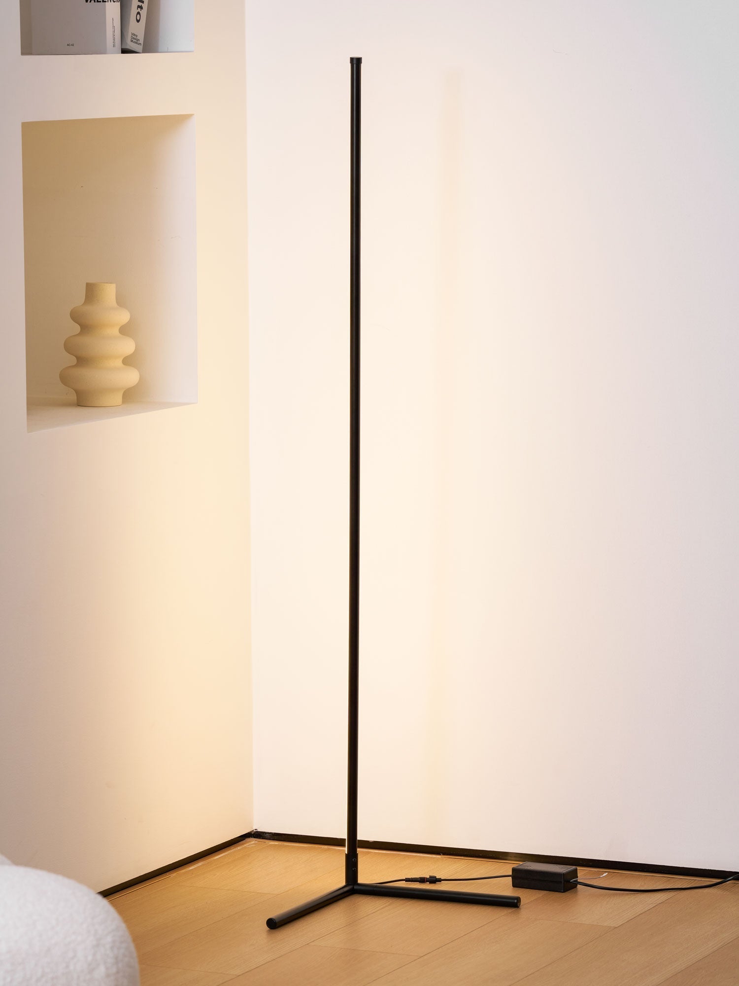 minimalist-led-floor-lamp-anzaz-Black & Remote Control Dimming-15
