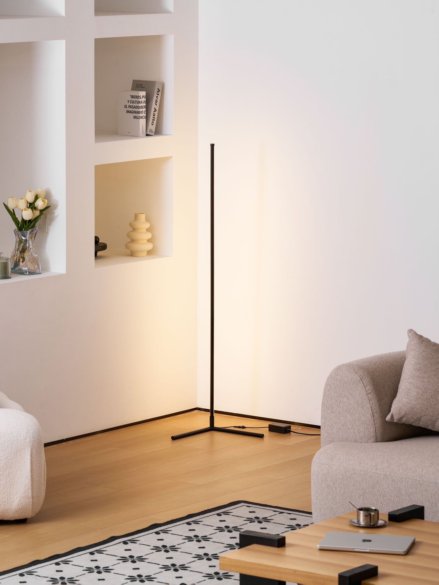 minimalist-led-floor-lamp-anzaz-Black & Remote Control Dimming-13