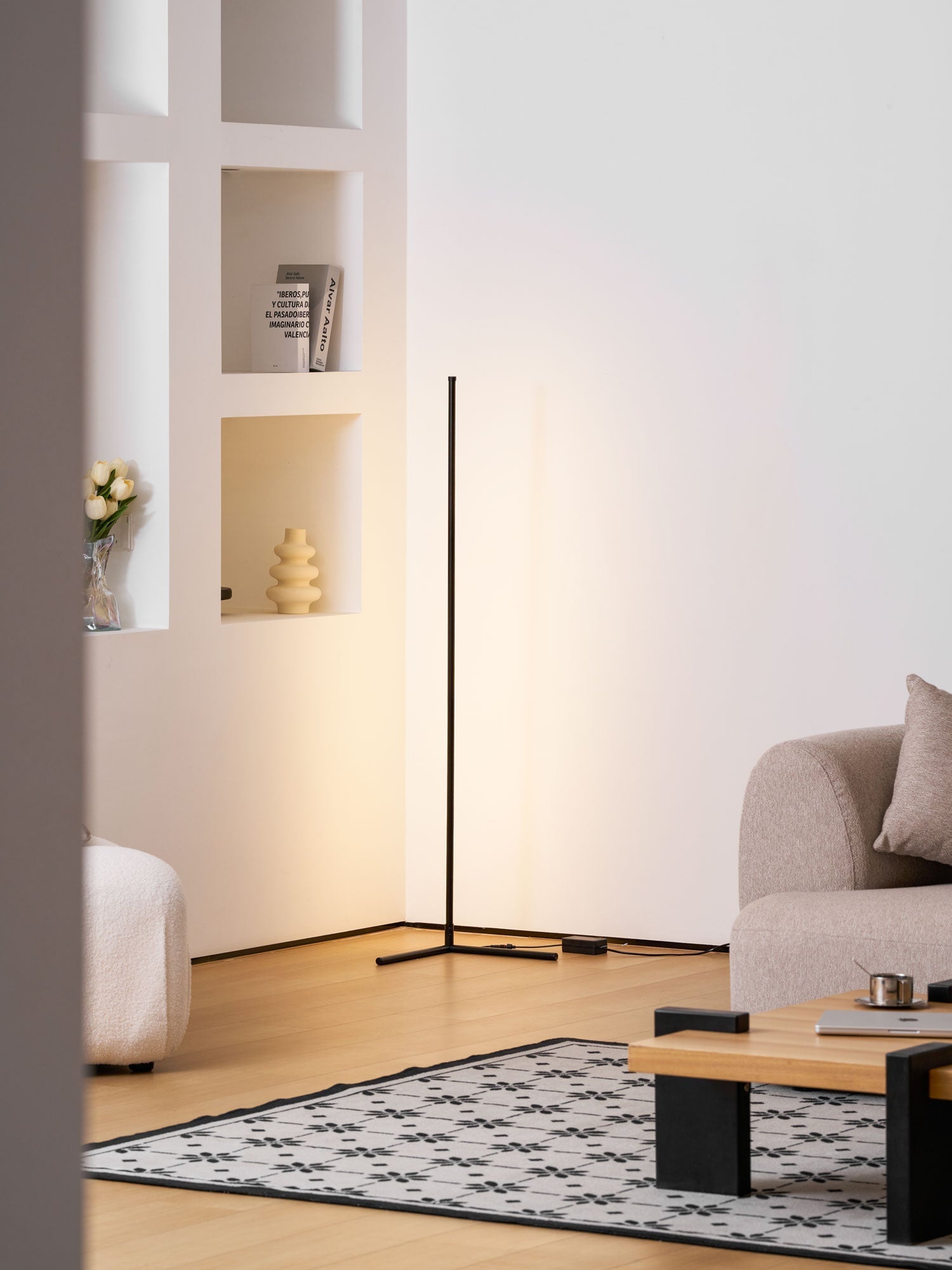 minimalist-led-floor-lamp-anzaz-Black & Remote Control Dimming-14