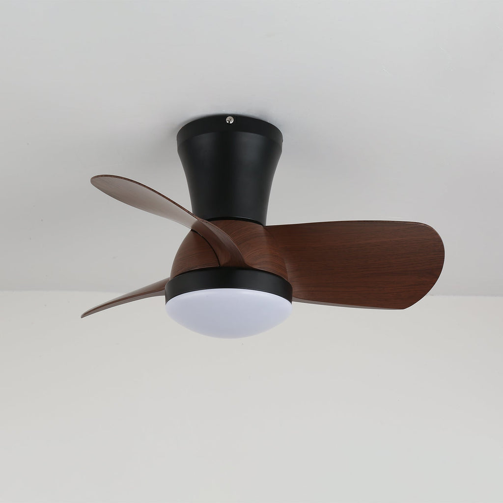 miro-ceiling-fan-light-anzaz--6