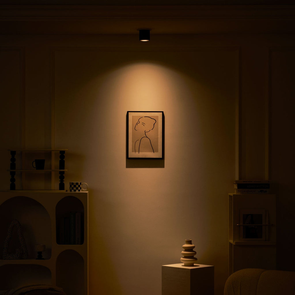 modupoint-ceiling-light-anzaz--44