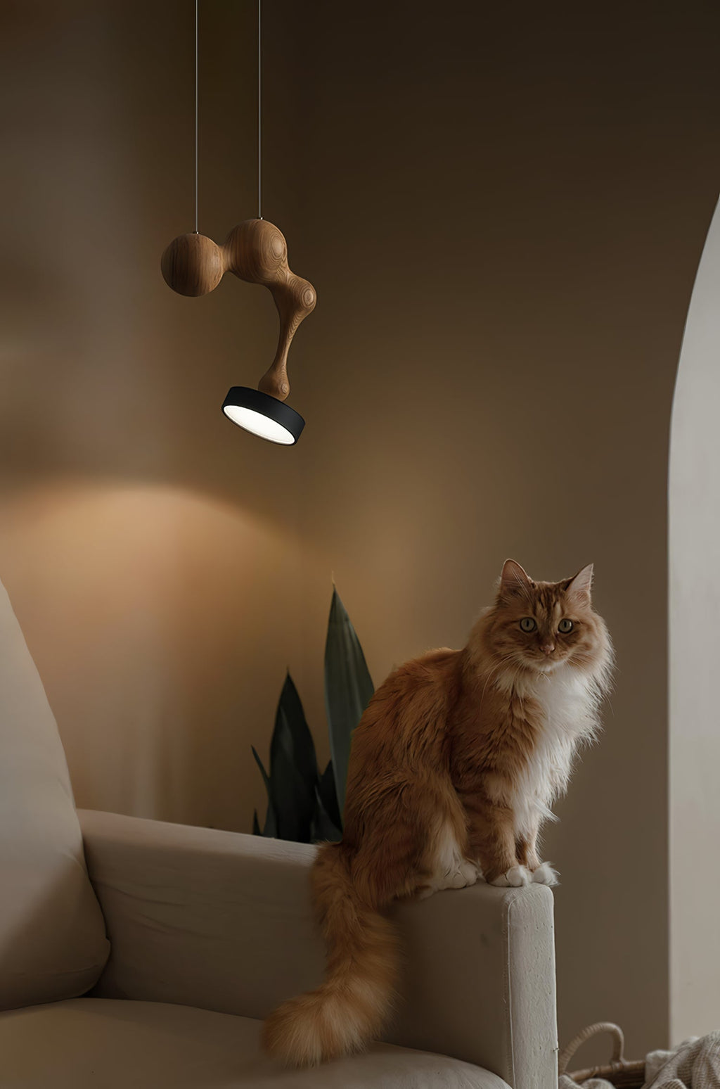 molecule-wooden-pendant-light-1-anzaz--11