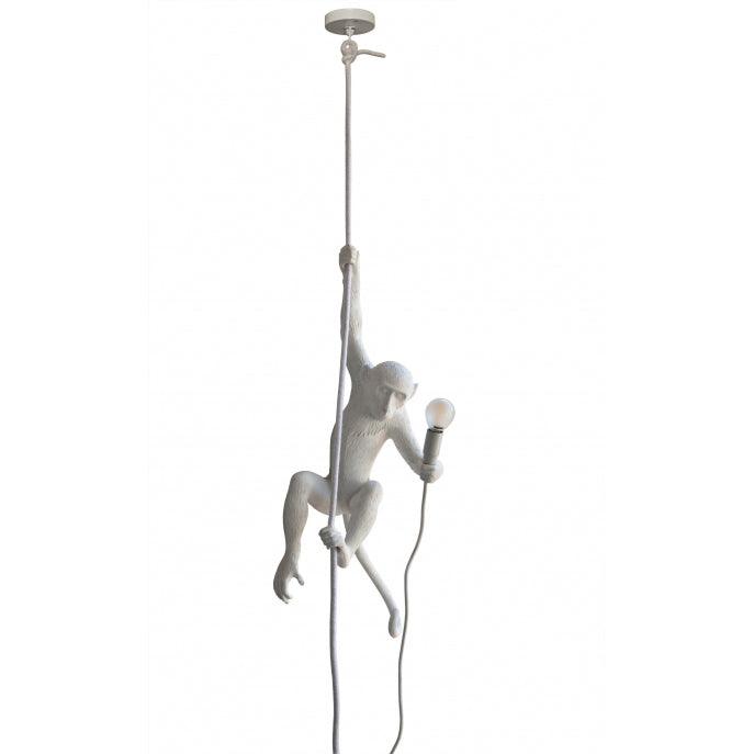 monkey-pendant-lamp-anzaz--41