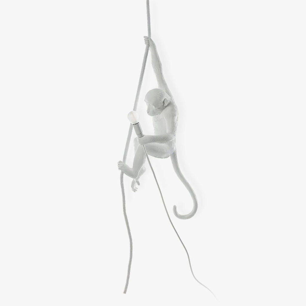 monkey-pendant-lamp-anzaz--43