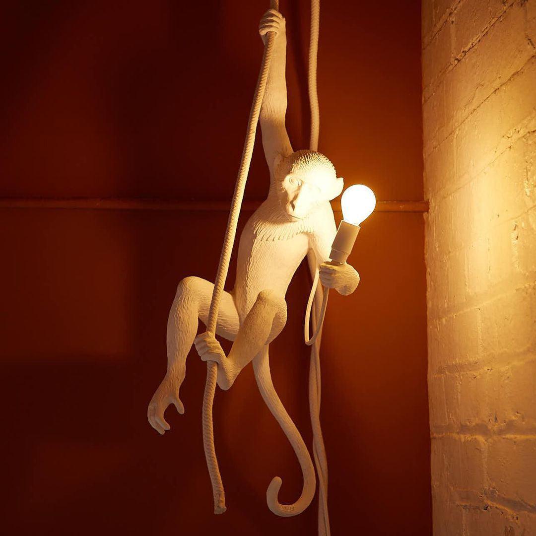 monkey-pendant-lamp-anzaz--20