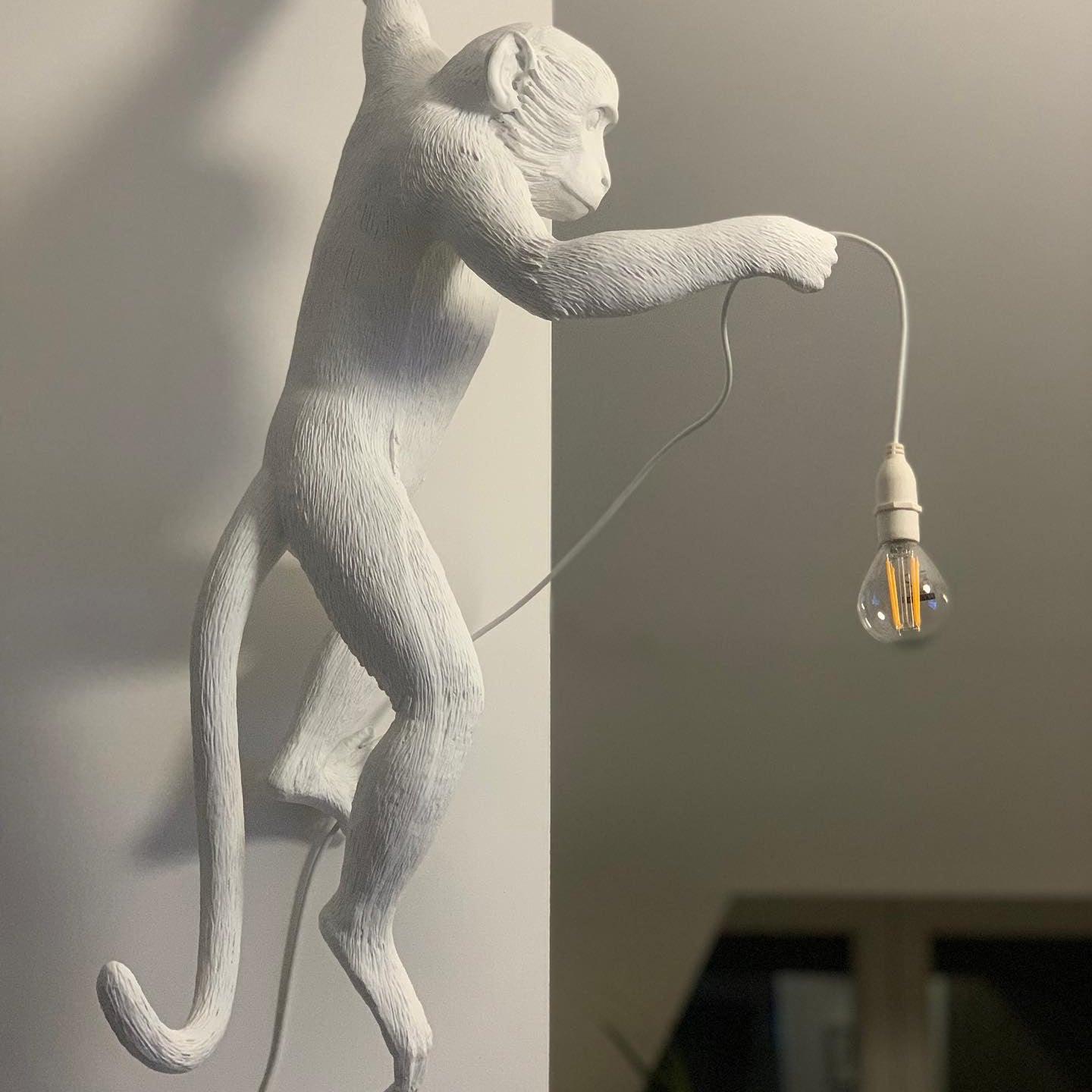 monkey-wall-lamp-anzaz-White-11